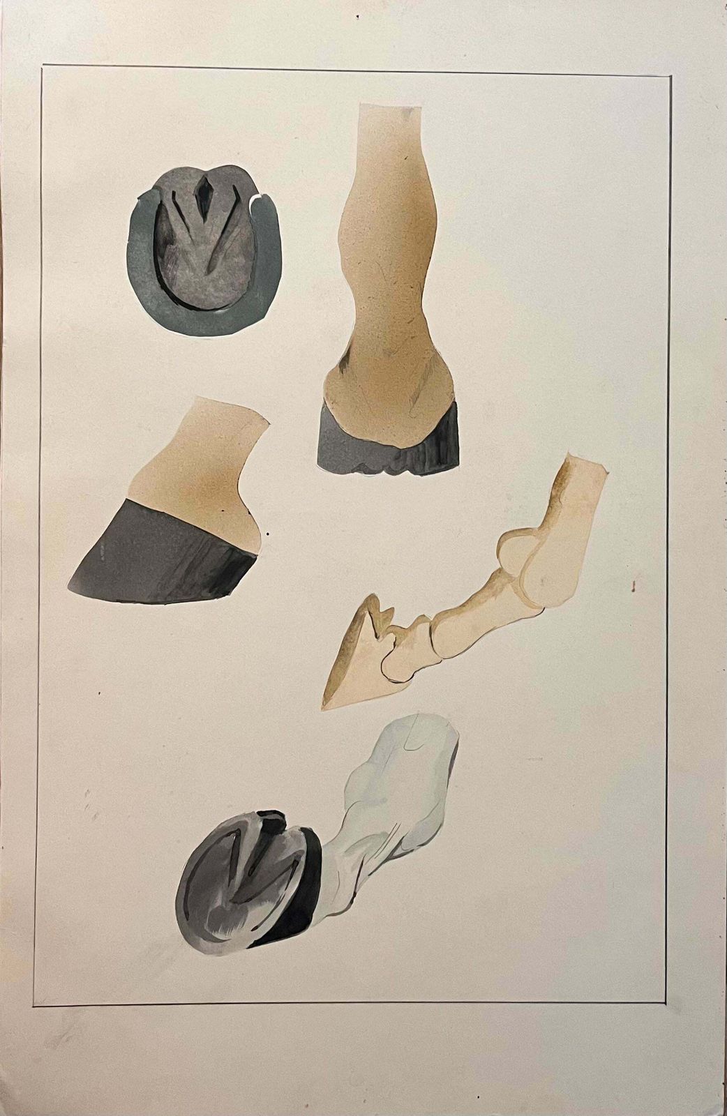 Robert Ladouoriginal French Anatomical Study Of Horse's Hoof20th Century