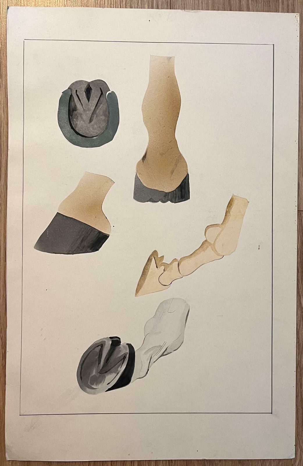 Robert Ladouoriginal French Anatomical Study Of Horse's Hoof20th Century photo furniture