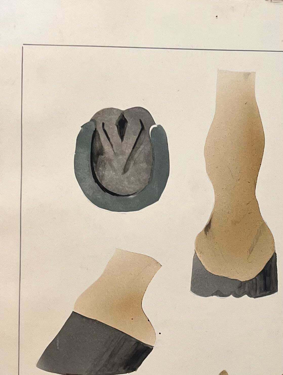 Robert Ladouoriginal French Anatomical Study Of Horse's Hoof20th Century photo for sale
