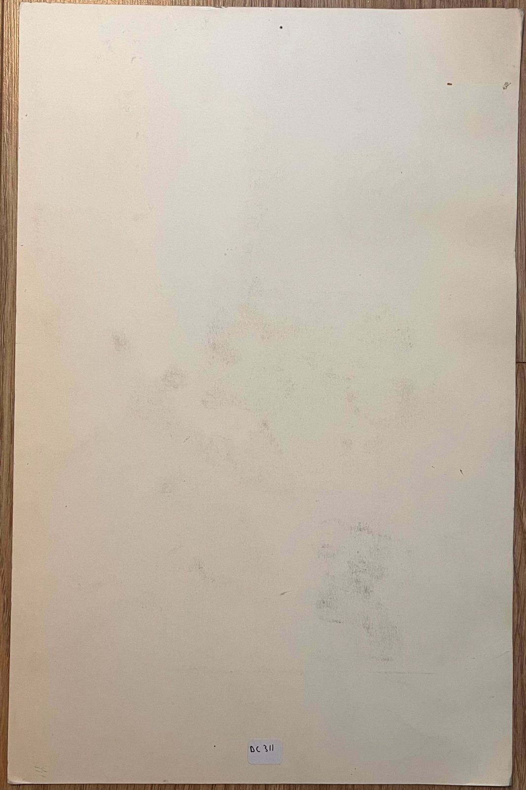 Robert Ladouoriginal French Anatomical Study Of Horse's Hoof20th Century photo vinterior