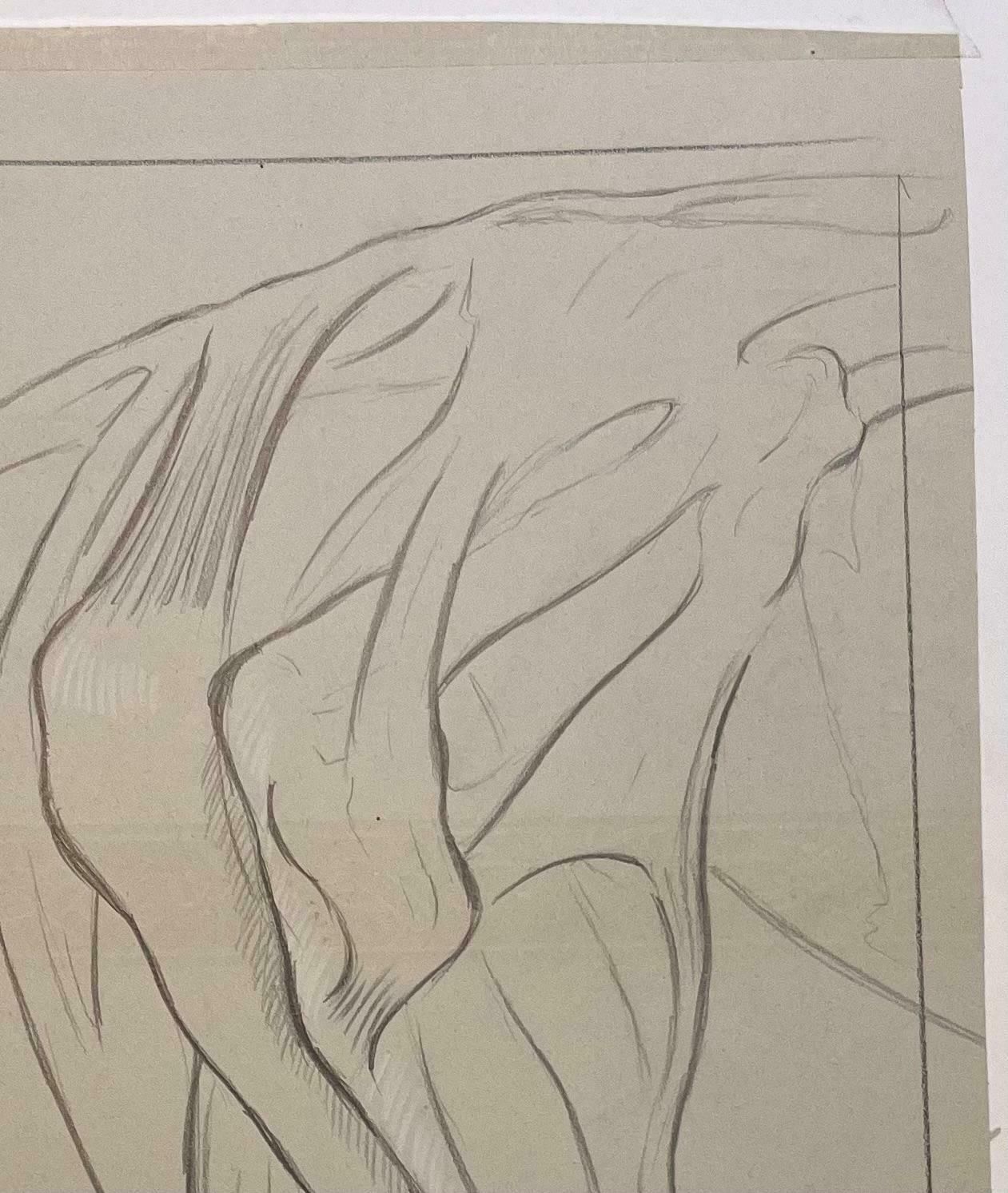 Robert Ladouoriginal French Anatomical Study Of A Horse's Hind Legs20th Century photo for sale