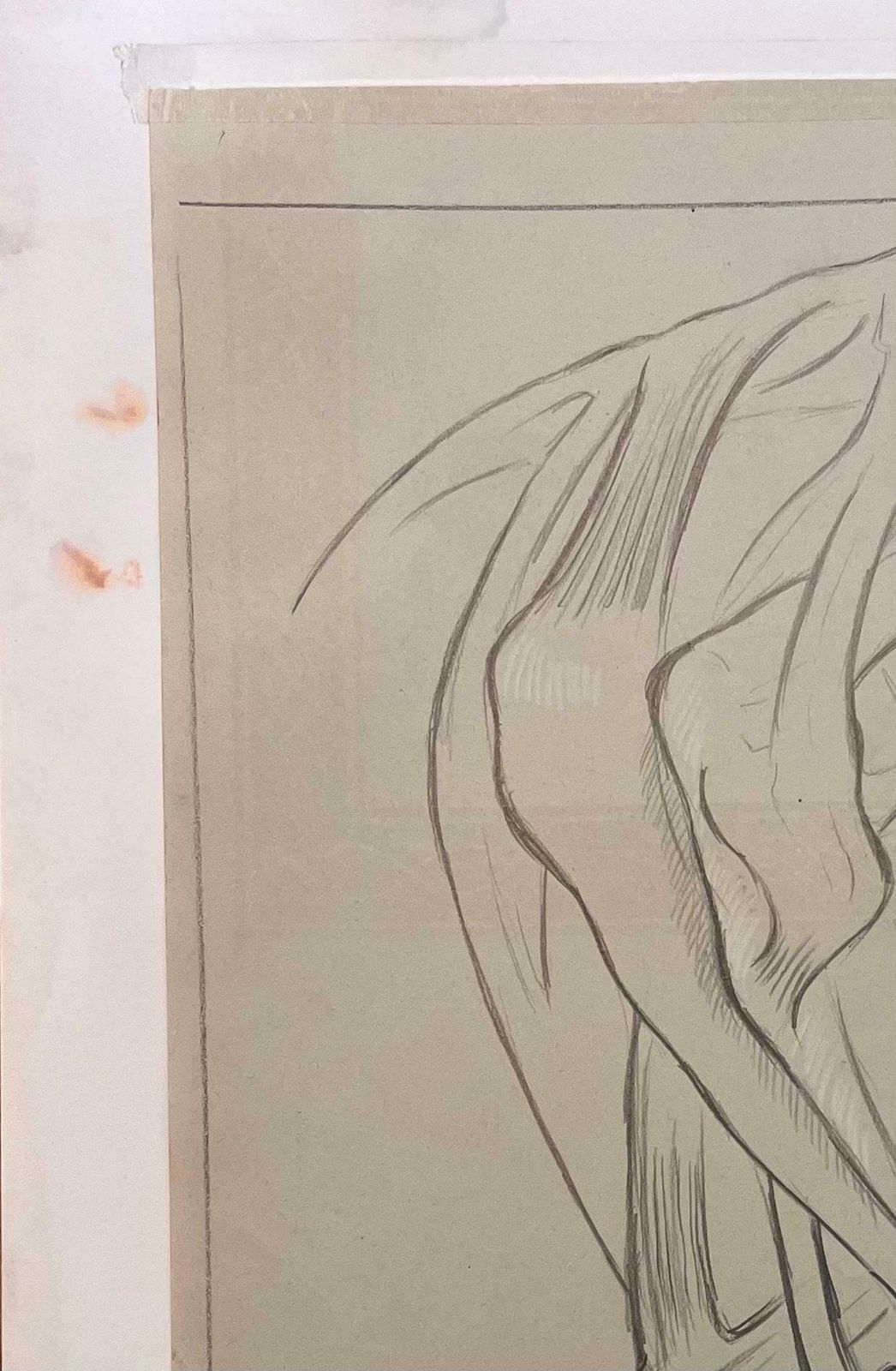 Robert Ladouoriginal French Anatomical Study Of A Horse's Hind Legs20th Century photo Art