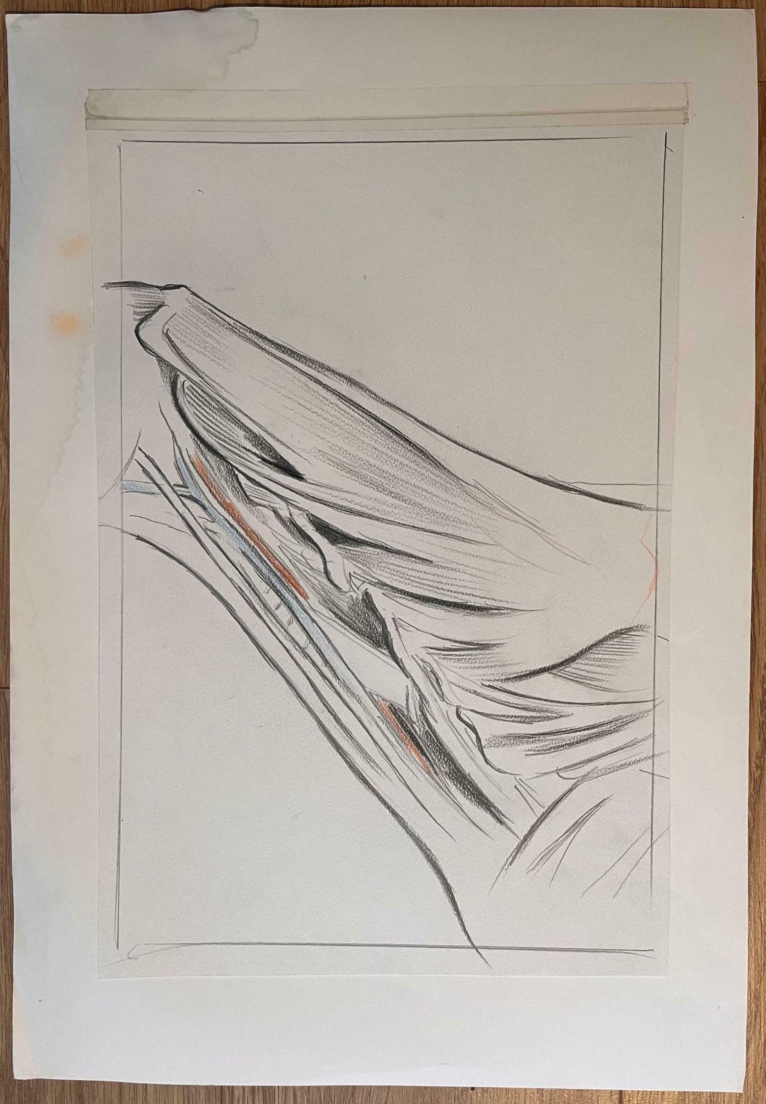 Robert Ladouoriginal French Anatomical Study Of A Horse's Limb20th Century photo furniture