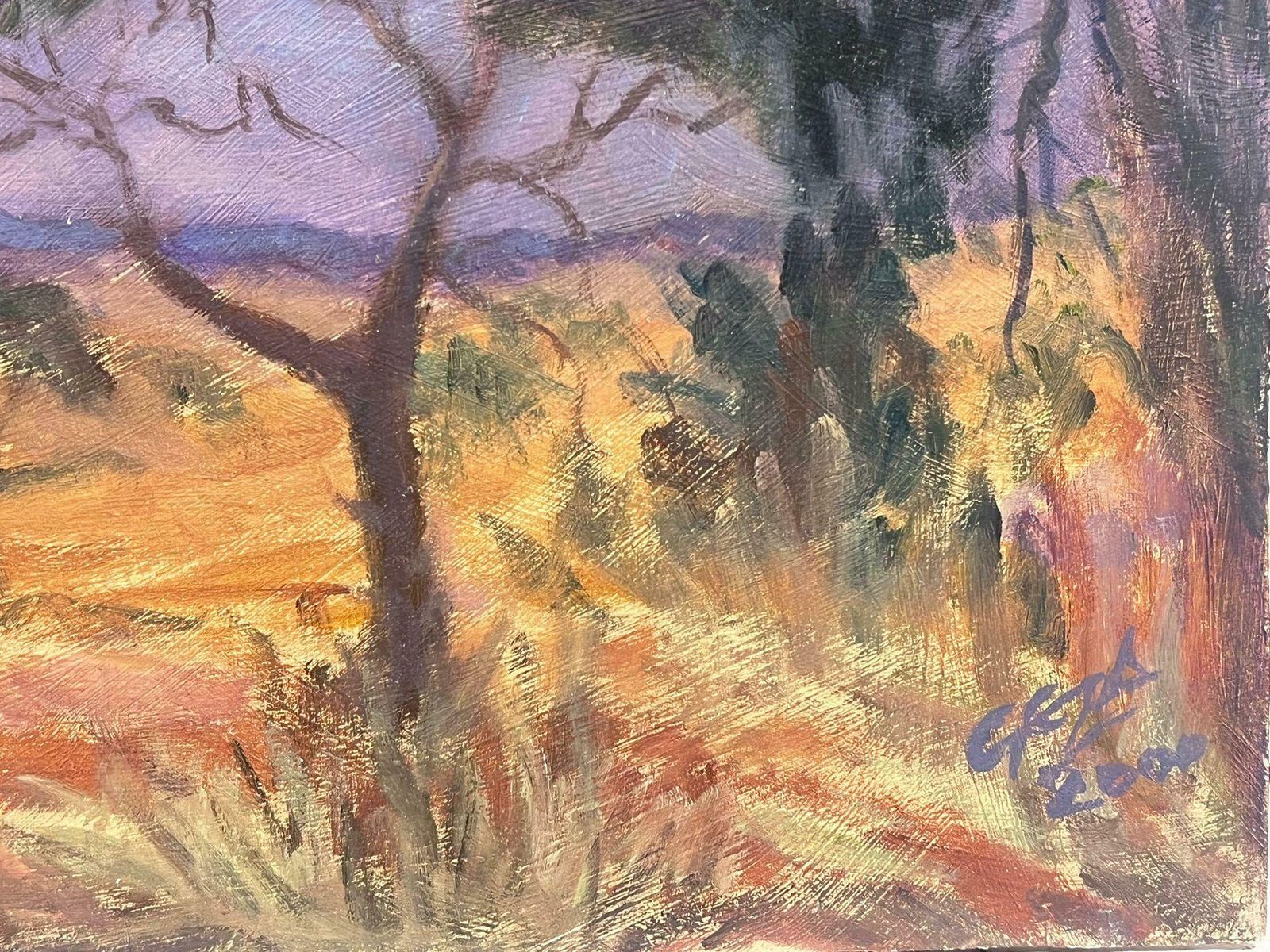Geza Somerset Paddonmoonlight Lit Purple Sky Over Desert Contemporary British Modernist Painting photo furniture