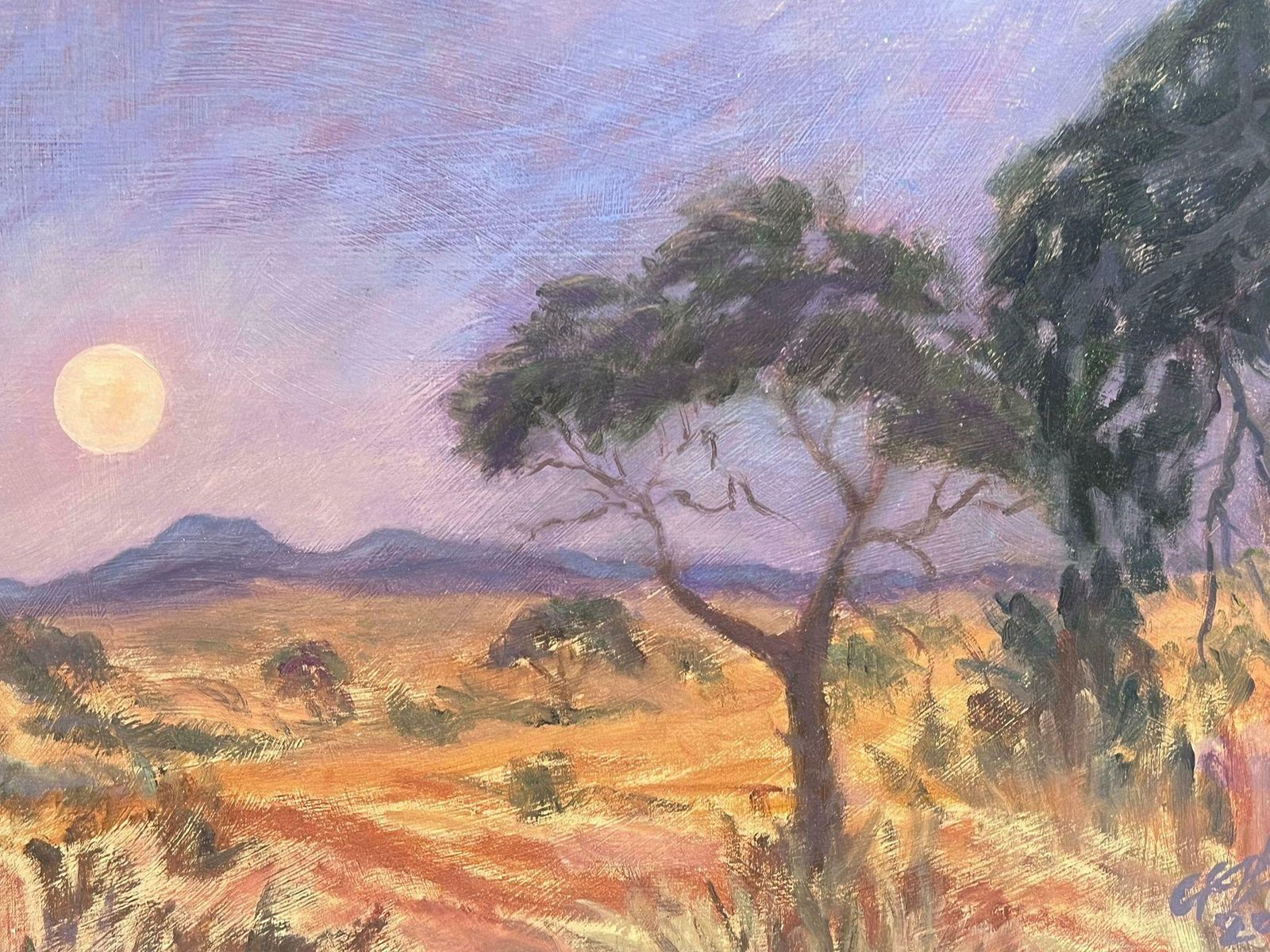 Geza Somerset Paddonmoonlight Lit Purple Sky Over Desert Contemporary British Modernist Painting photo Art