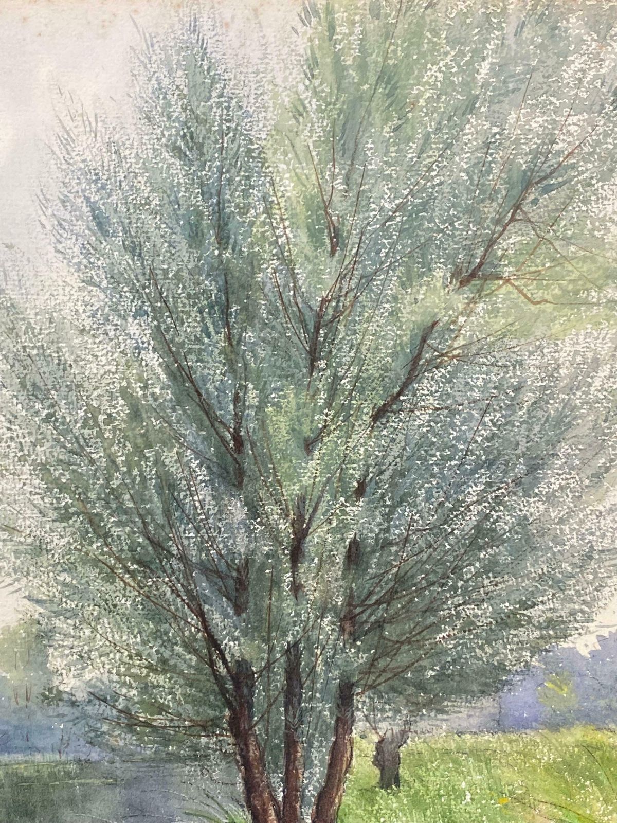 French Impressionistbright French Impressionist Antique Painting   Willow Trees By The River photo Art