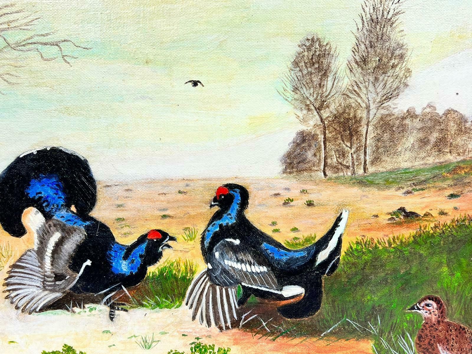 Ben Powellcontemporary British Acrylic Painting Capercaillie/ Grouse In Landscape photo for sale