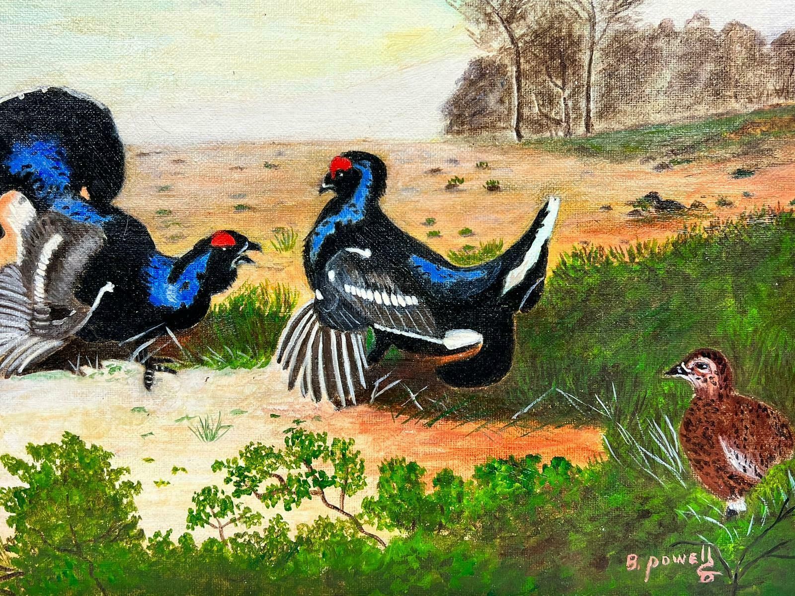 Ben Powellcontemporary British Acrylic Painting Capercaillie/ Grouse In Landscape photo Art