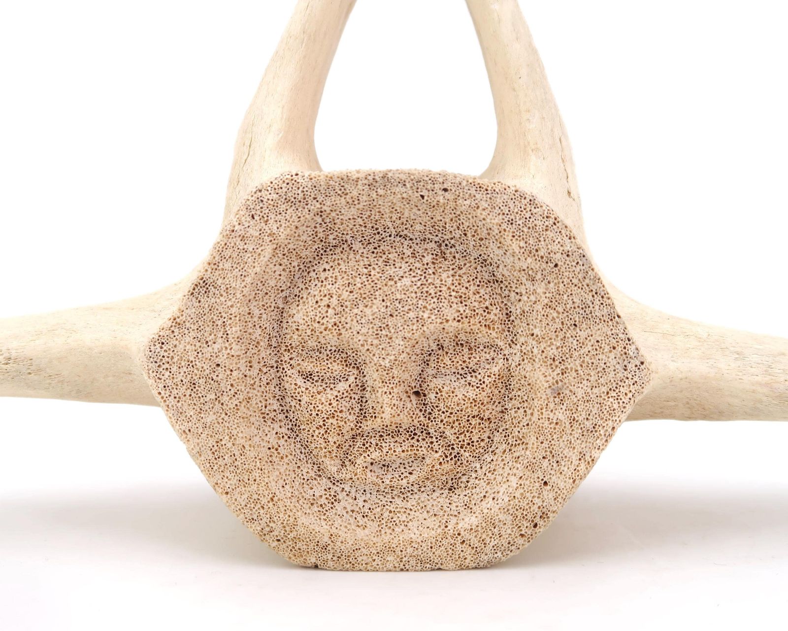 Gesneden Bot, Gesigneerde Kraai, James Colbourne, Sculptuur Jaren 1970 / Inuit Art, Canada, Canadese Kunstenaar, Cabinet Of Curiosity photo for sale