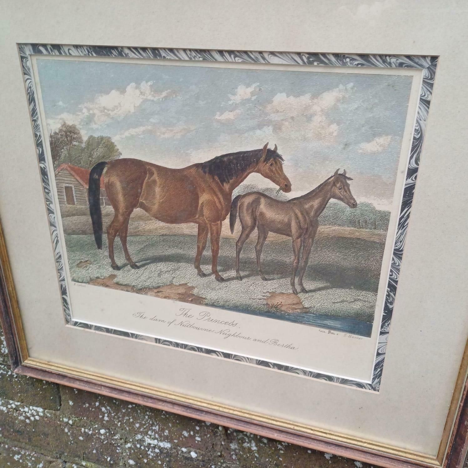 The Princess Race Horse Print By E Corbet, 1862 Lithograph, "The Dam Of Nutbourne, Neighbour And Bertha", Early 1900s Framed Print