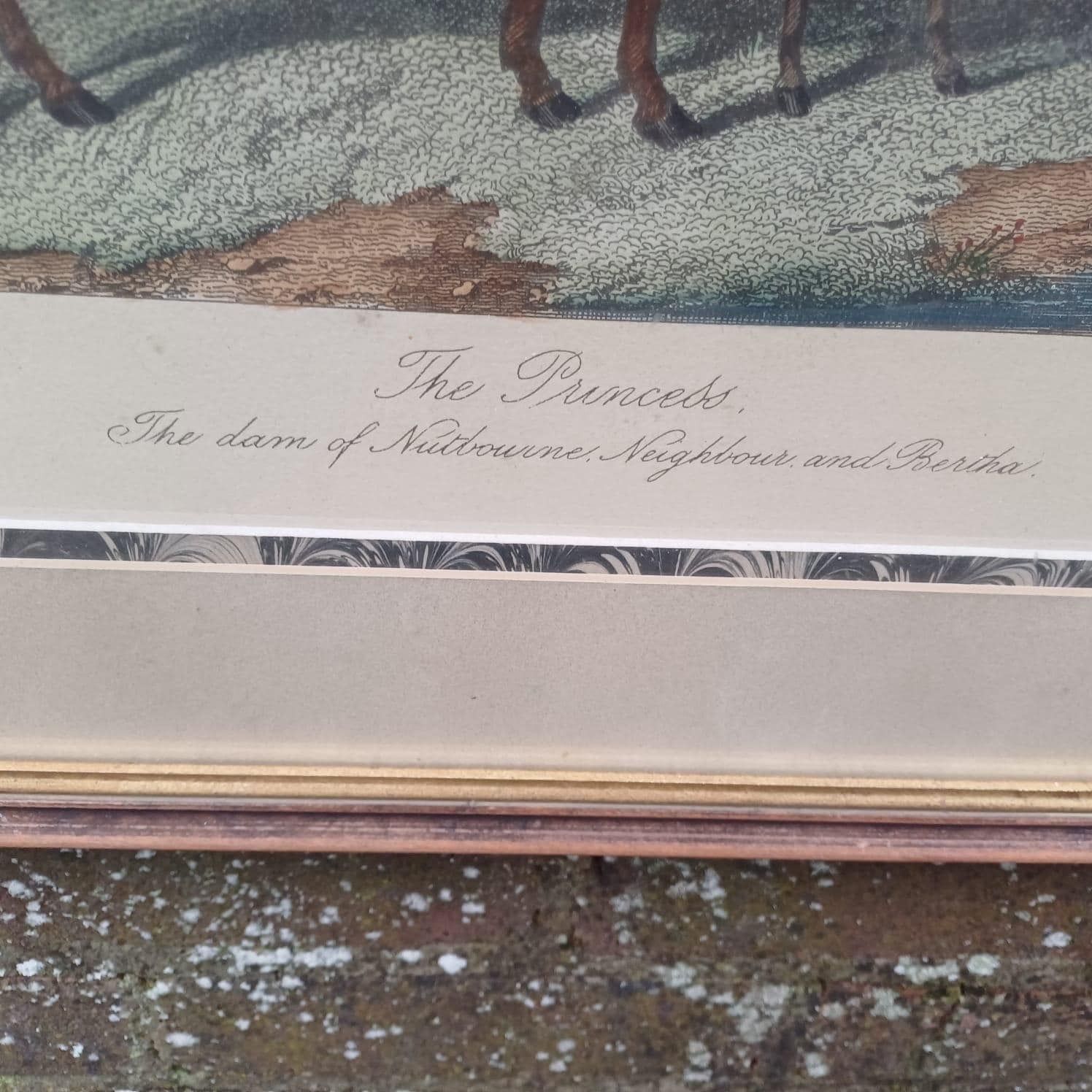 photo furniture The Princess Race Horse Print By E Corbet, 1862 Lithograph, "The Dam Of Nutbourne, Neighbour And Bertha", Early 1900s Framed Print
