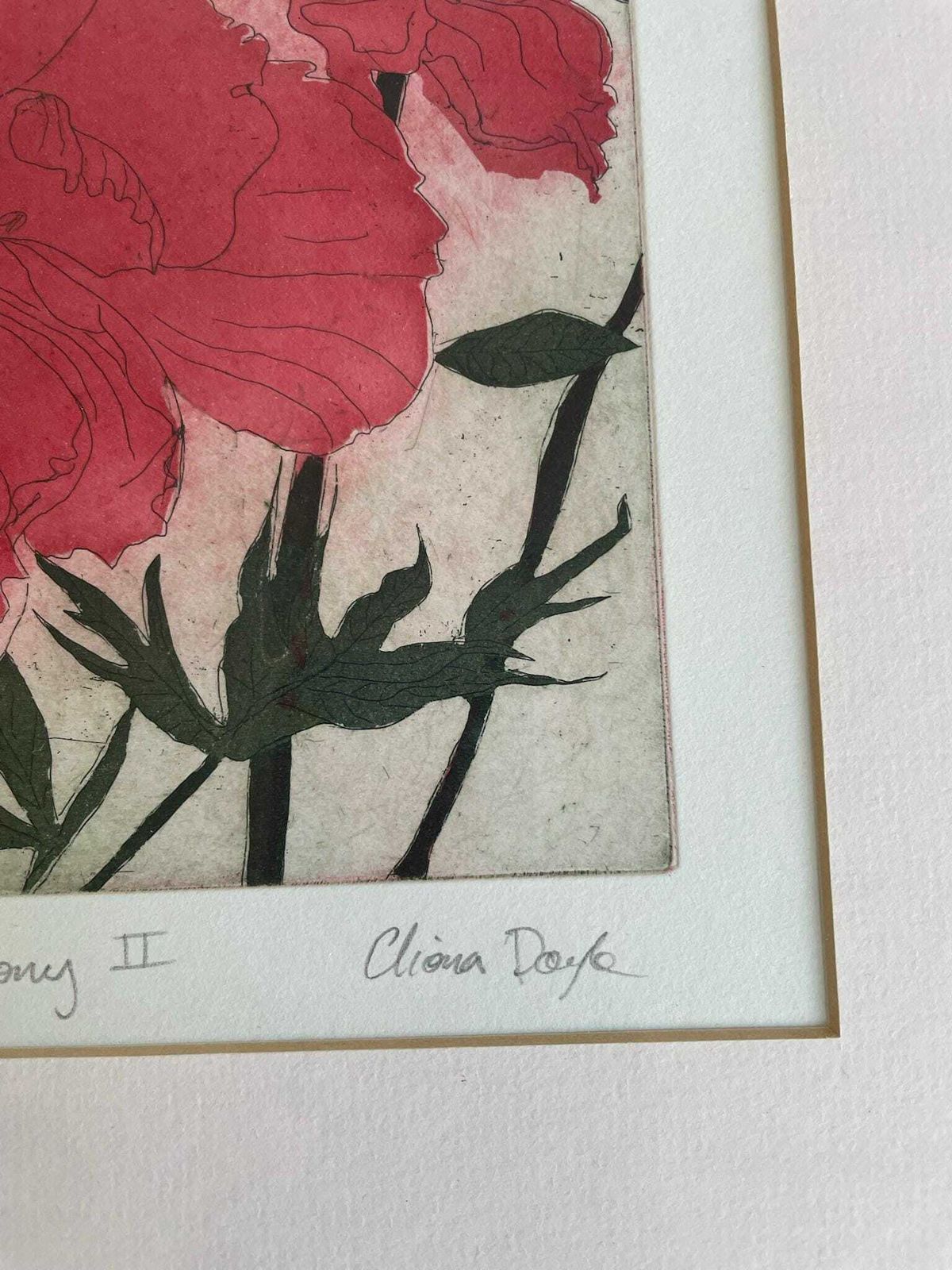 Cliona Doyle Framed Art Etching Print Of Paeony 2 Red Green Floral Thin Green Frame photo Art
