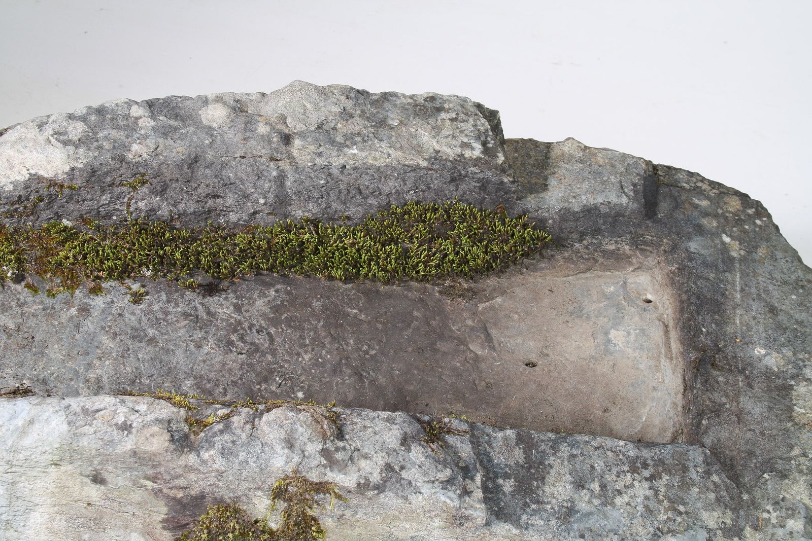 photo buy Large 17th Century Stone Trough Garden Feature Weathered Moss Bonsai Carved Stone