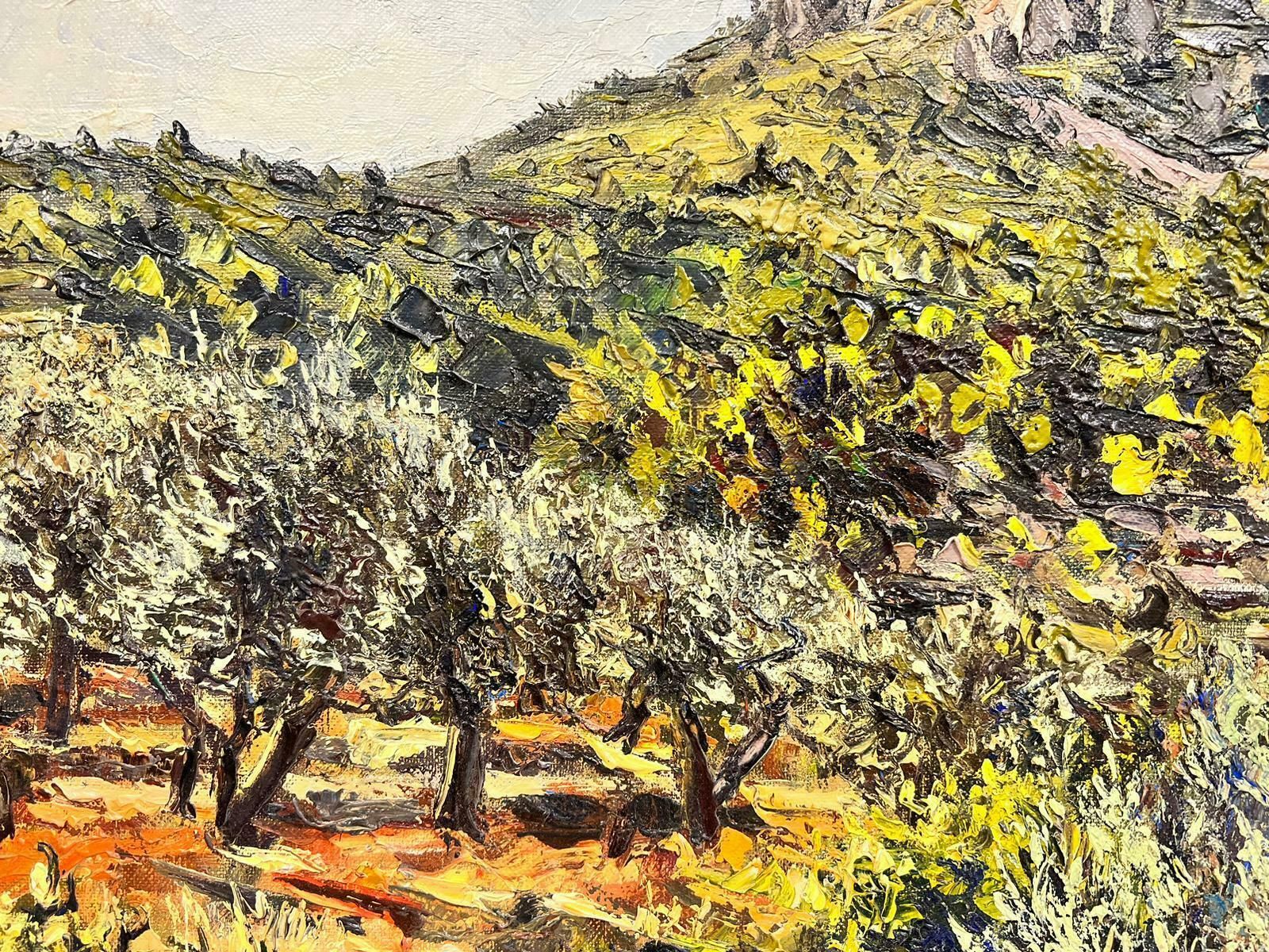Josine Vignonolive Groves In Provence Original French Post Impressionist Signed Oil 1960's1960's photo for sale