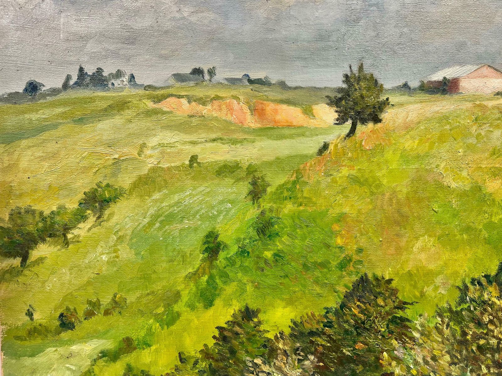 Josine Vignon1950's French Post Impressionist Signed Oil Green Landscape & Fields1960's photo Art