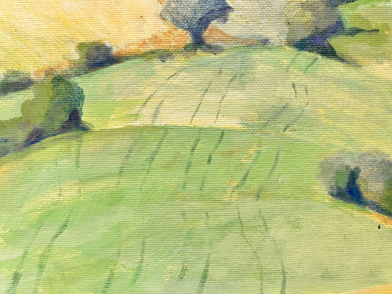Jill Jacksonbright Golden Green Fields, British Modernist Contemporary Painting photo 895.0