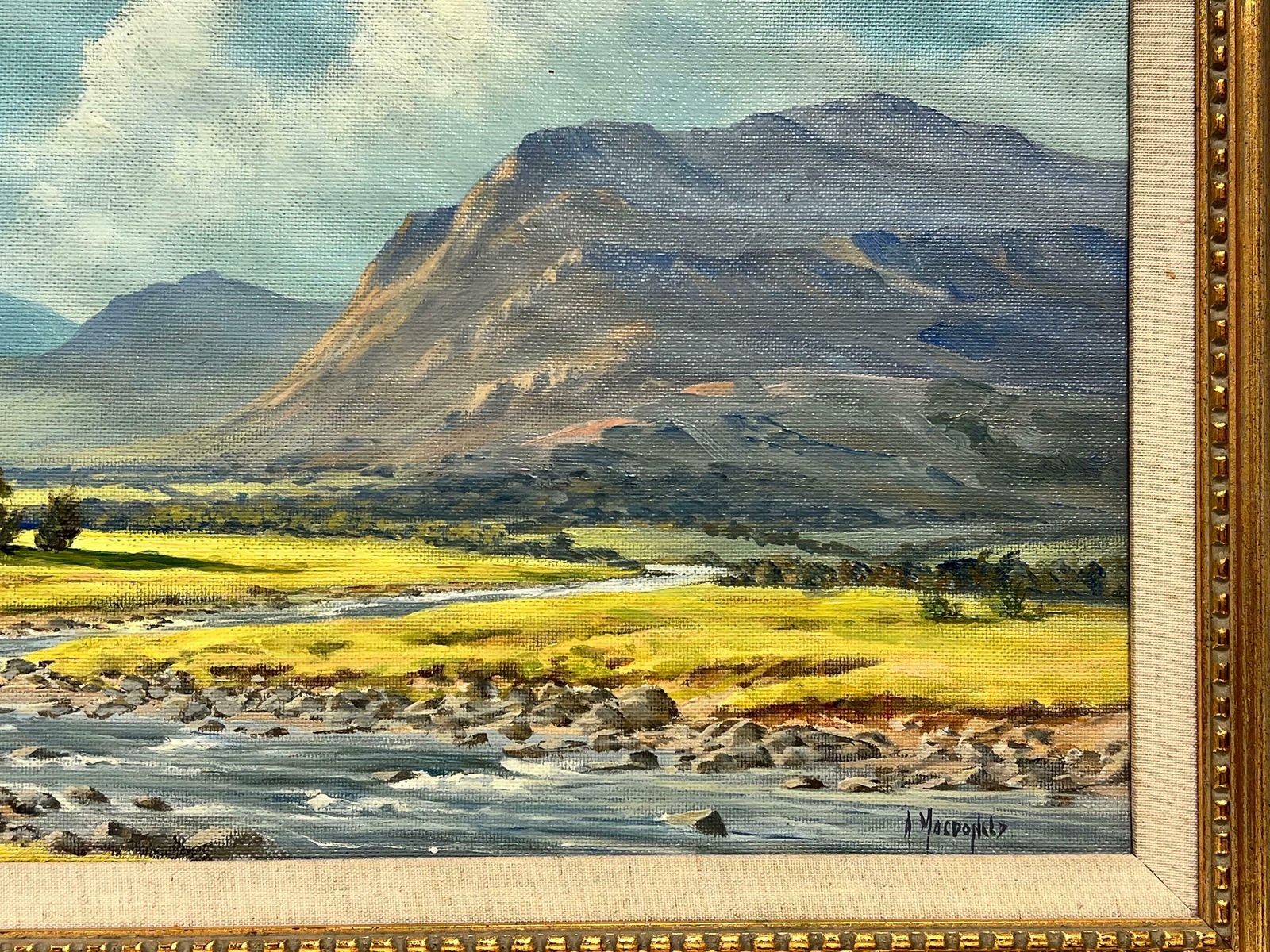 Mcdonaldsigned Scottish Oil Sunny Highland River Landscape In Summer, Framed Original photo Art