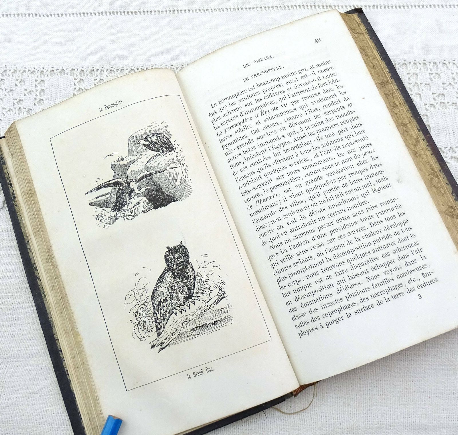 Antiek Frans Leren Boek Uit 1861 Met Vergulde Decoratie – Natuurlijke Historie Van Vogels, Reptielen En Vissen – Histoire Naturelle Des Oiseaux Des Reptiles Et Des Poissons Door M L'abbé J J Bourassé photo for sale