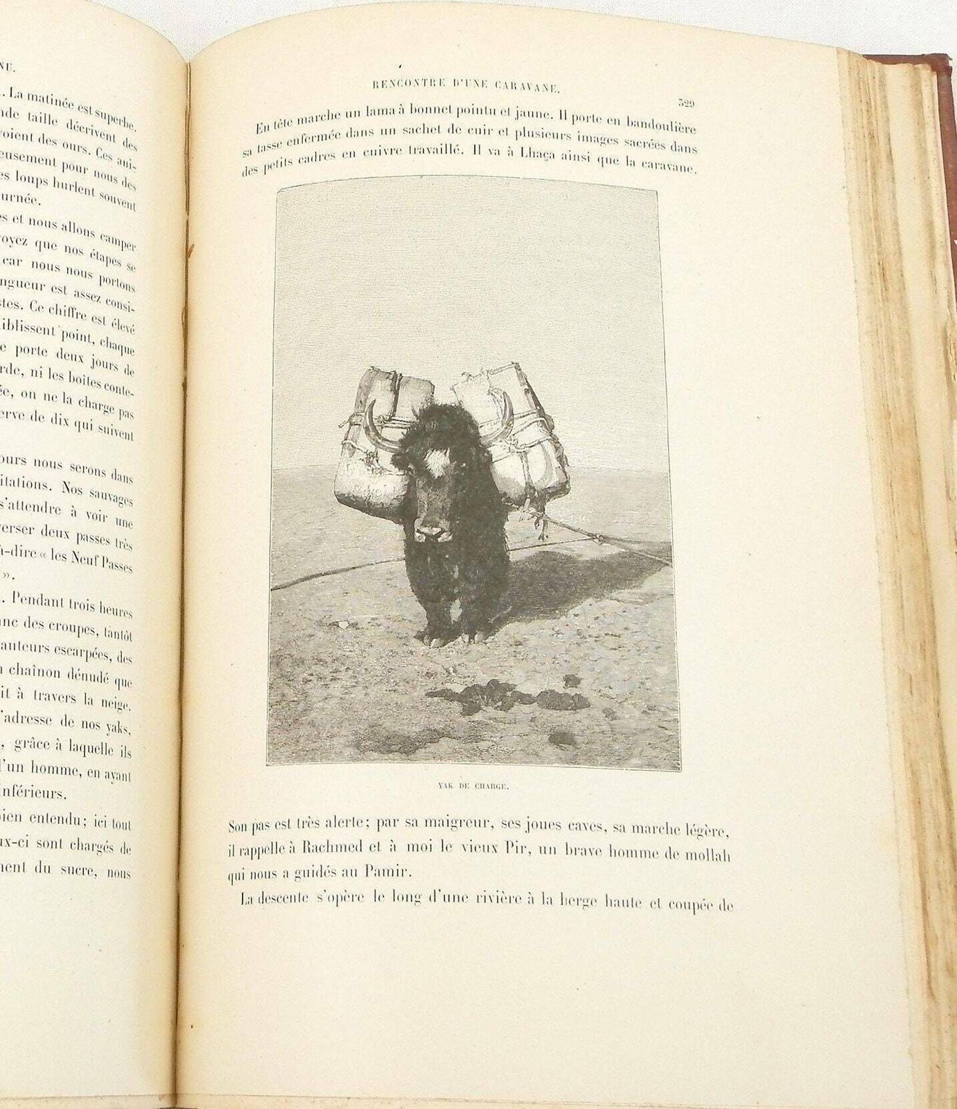 Rare Antique Book In Red Leather And Marbled Paper By Gabriel Bonvalot "De Paris Au Tonkin A Travers Le Tibet Inconnu" 1892 Explorer Map photo buy