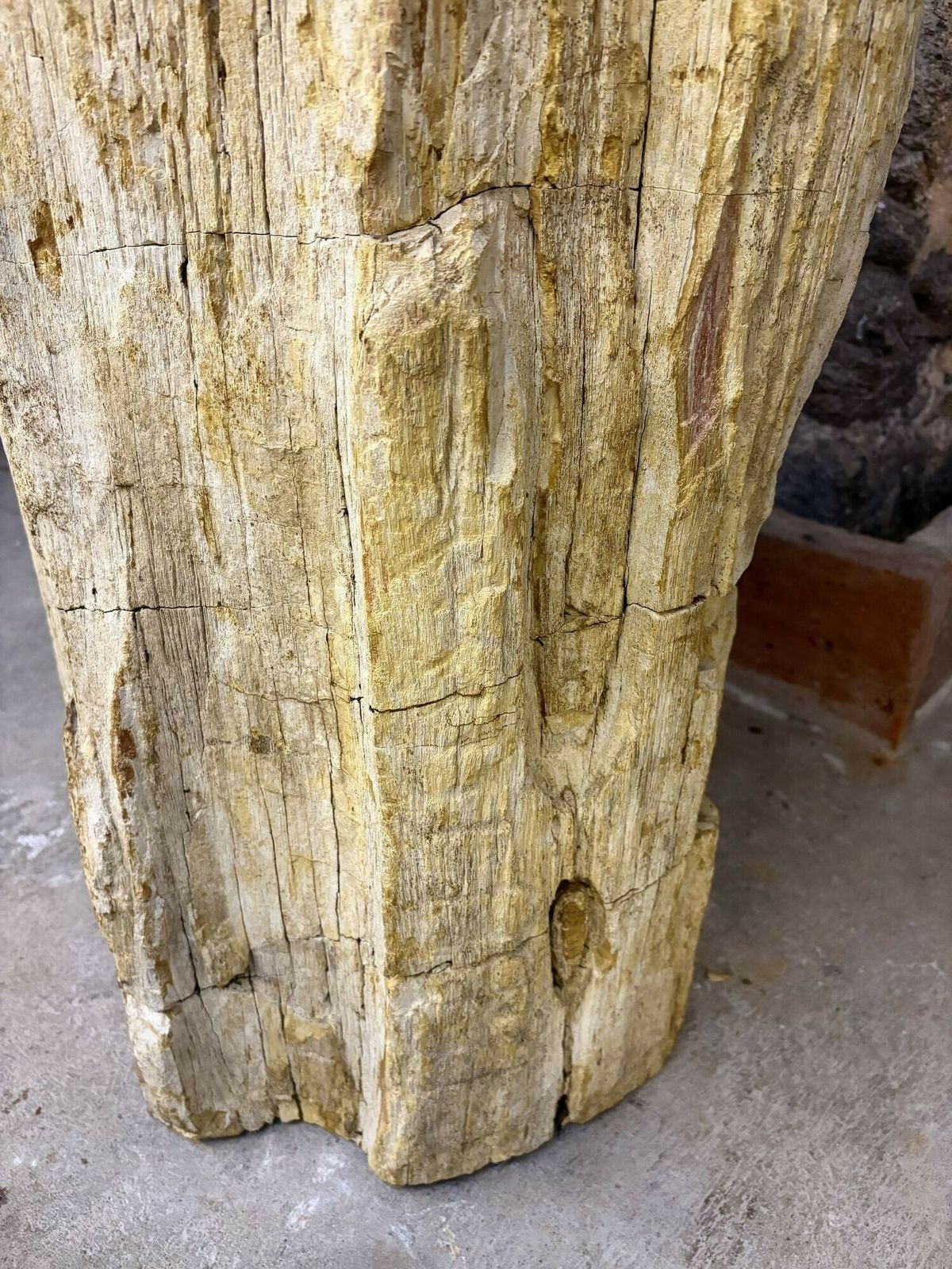 photo furniture Organic Modern Petrified Wood Pedestal Sink, Idn 2025