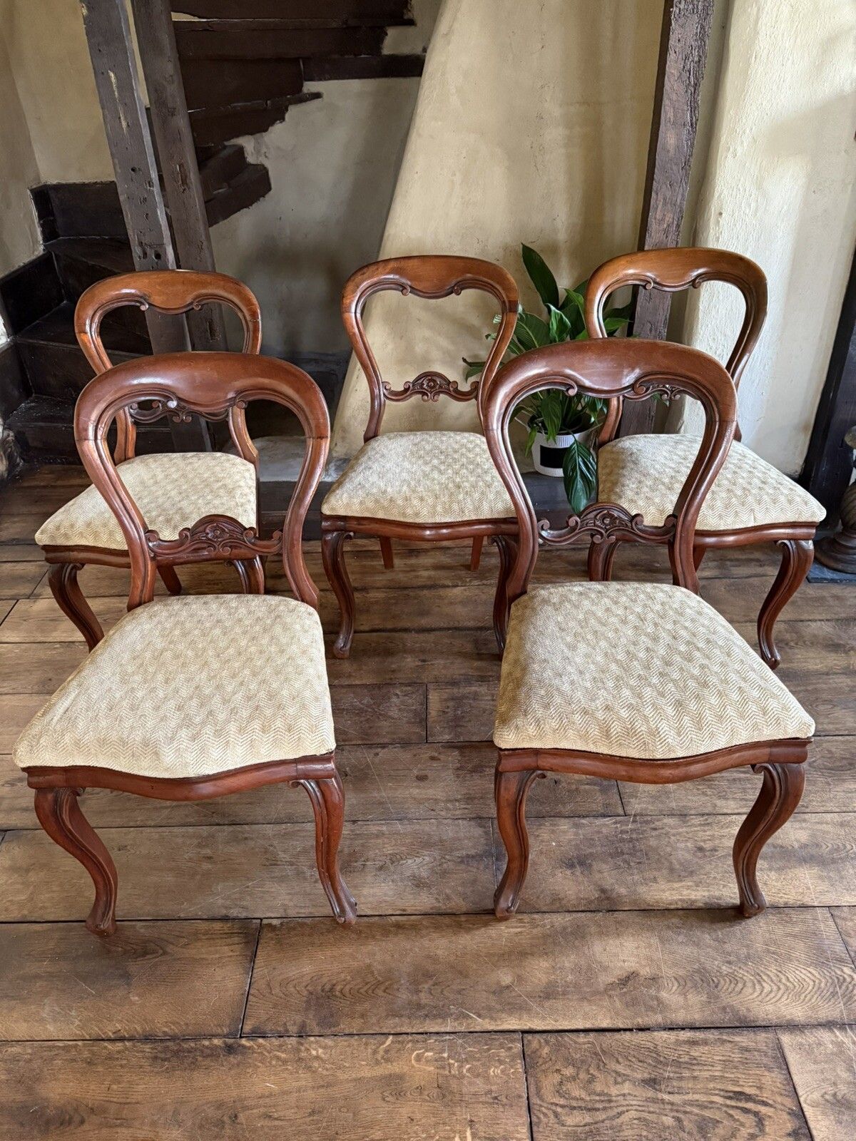 Antique Mahogany Victorian Drop In Balloon Back Diner Dining Chairs C1800's  X 5 photo 499.0