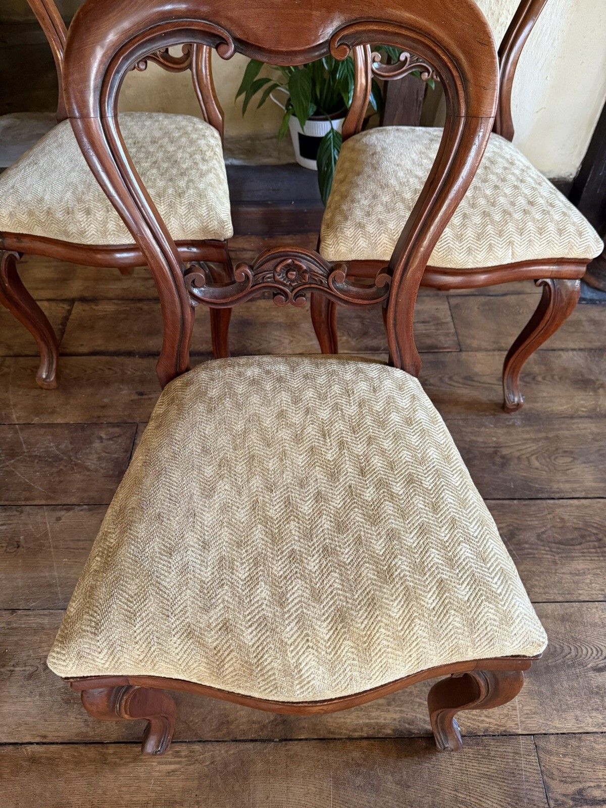 Furniture Antique Mahogany Victorian Drop In Balloon Back Diner Dining Chairs C1800's  X 5 photo