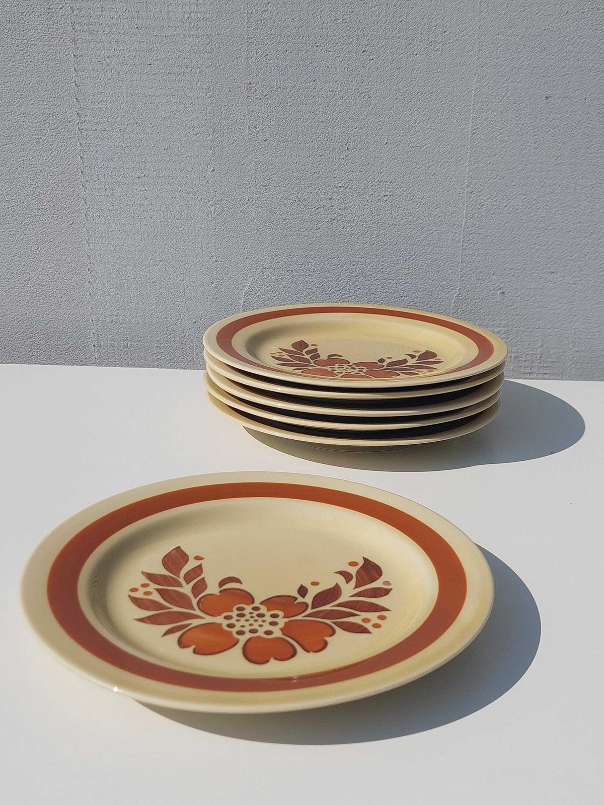 70.0 Rare Vintage Colditz Plates /Set Of 6 Plates With Beautiful Ornament/Made In Gdr/Vintage Plates From East Germany /Colditz Gdr Plates/70's photo
