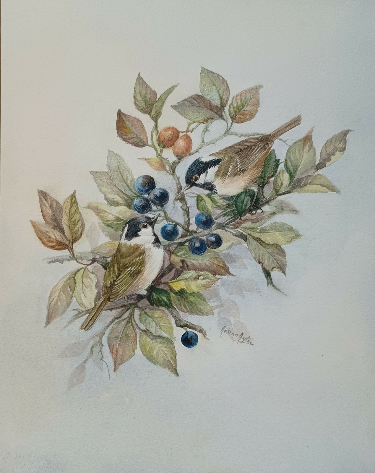 Original Watercolour Painting Wild Birds Amongst The Blue Sloe Berries And Red Rose Hips Signed Unframed. photo Art