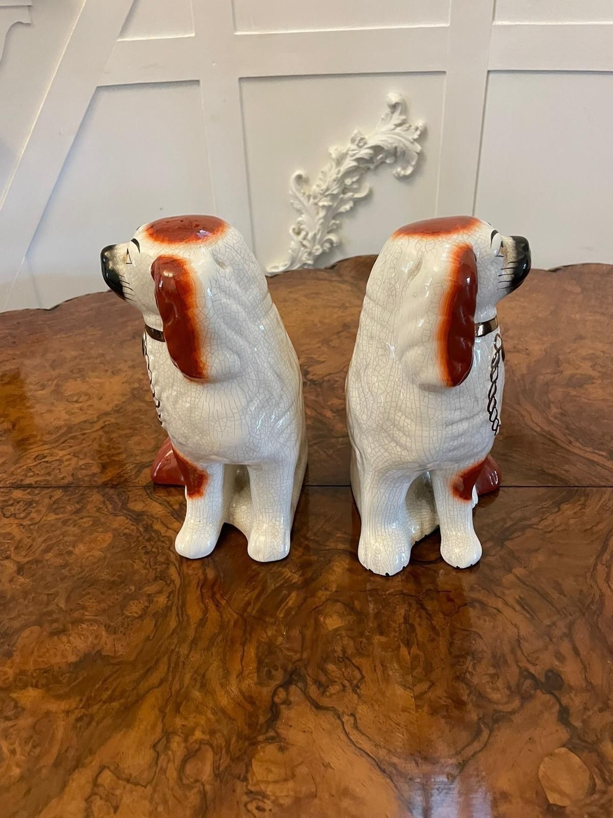 Pair Of Antique 19th Century Quality Staffordshire Dogs photo vintage