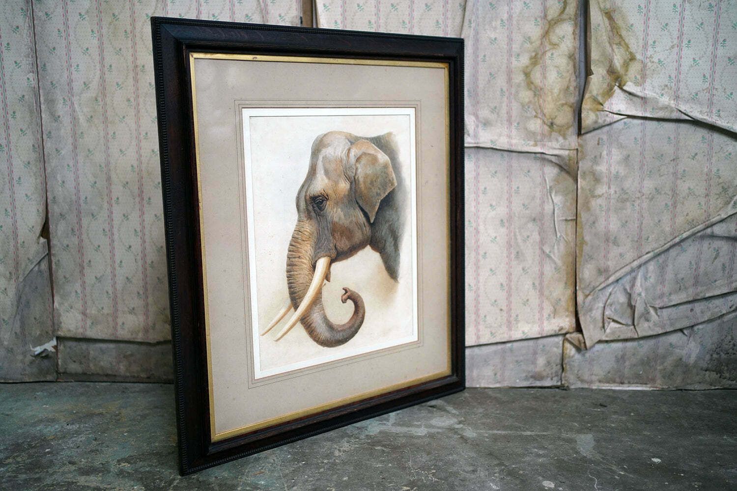 photo vintage Helena J Maguire (British, 1860 1909); 'Elephant', Watercolour C.1900 07