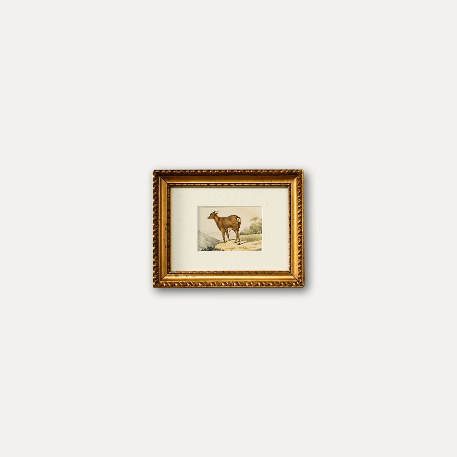 19th Century Watercolour Deer Goat In A Landscape photo 117.0