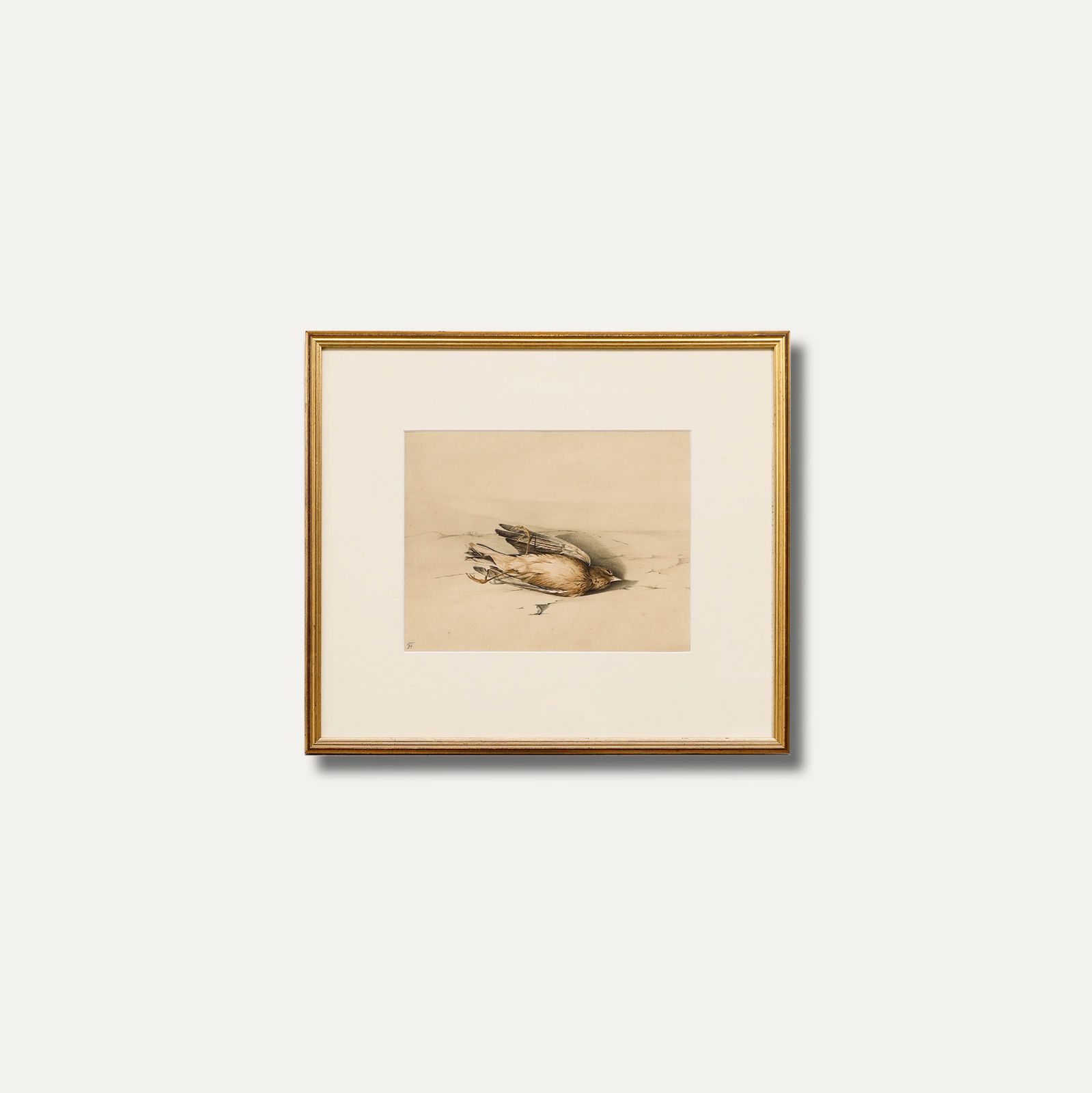 English School Late 19th Century Watercolour Study Of A Dead Bird photo buy