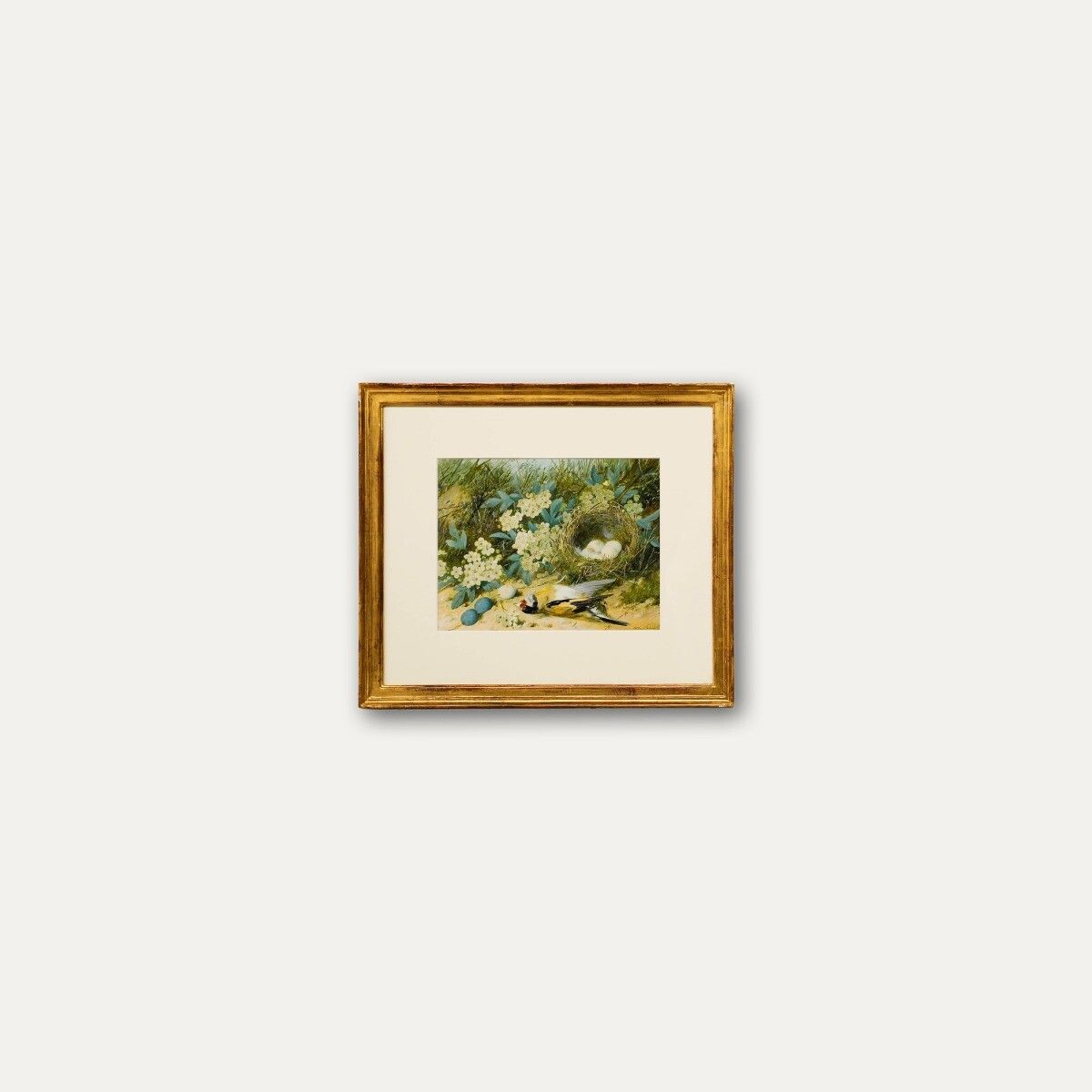 William Cruikshank (1848 1922) Late 19th Century Watercolour, Goldfinch Nest photo buy