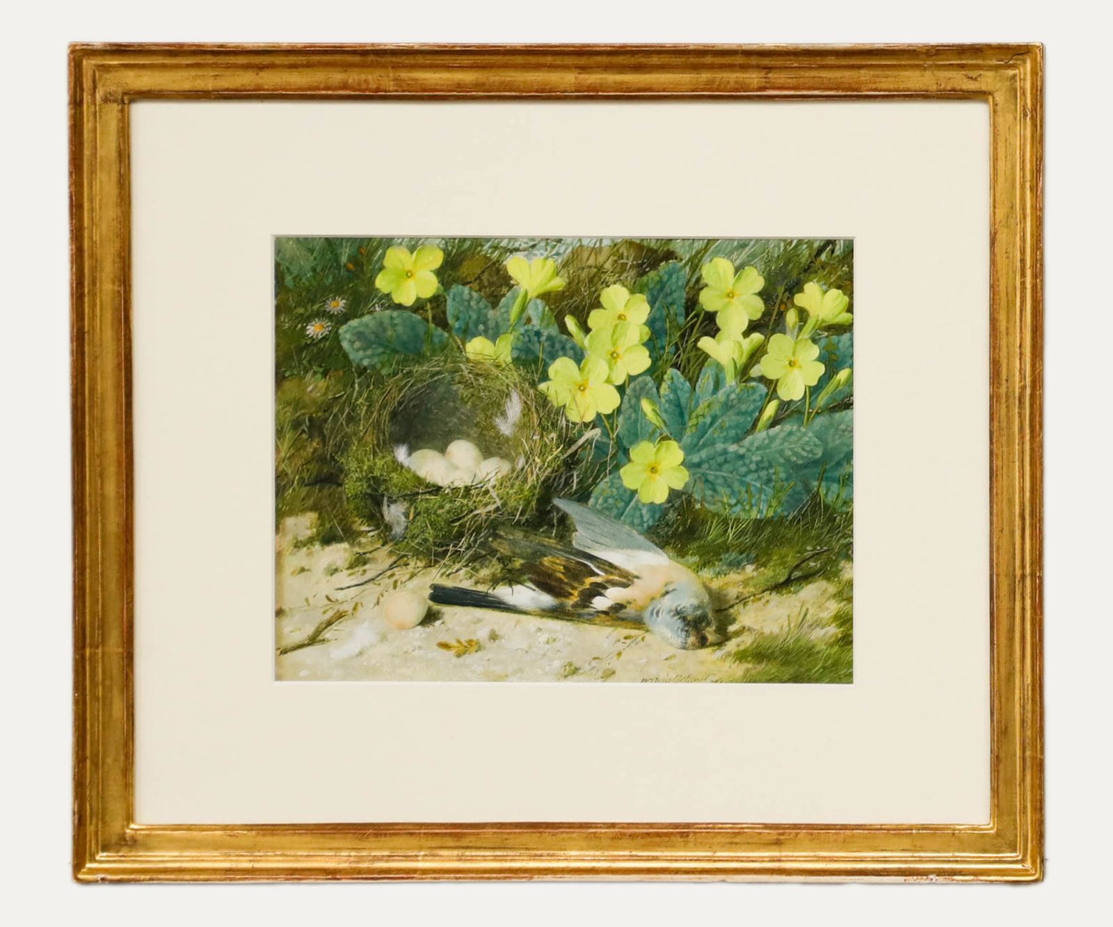 William Cruikshank (1848 1922) Watercolour, The Blue Tit's Nest