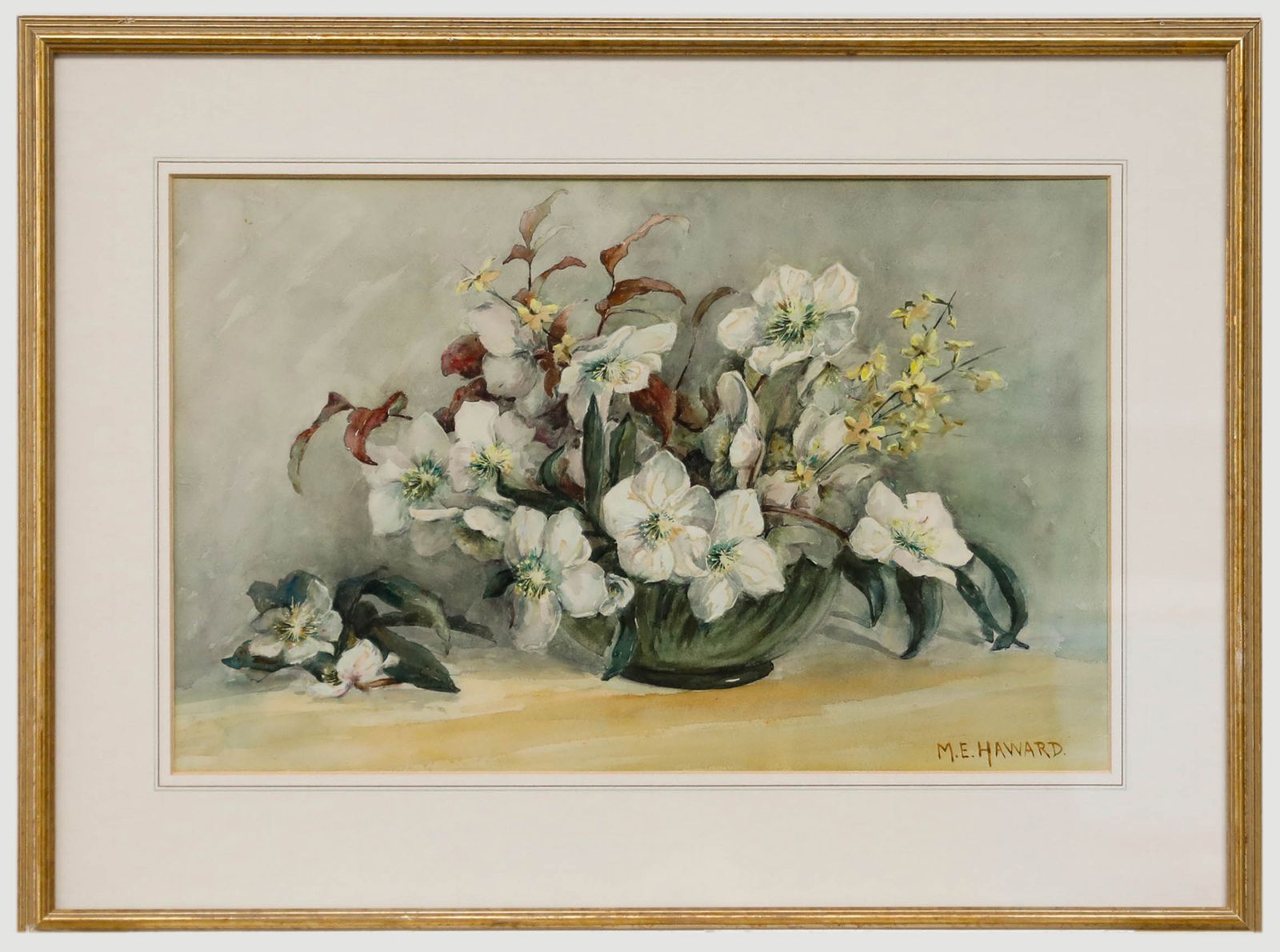 Mary Ellen Haward Early 20th Century Watercolour, Still Life With Hellebores