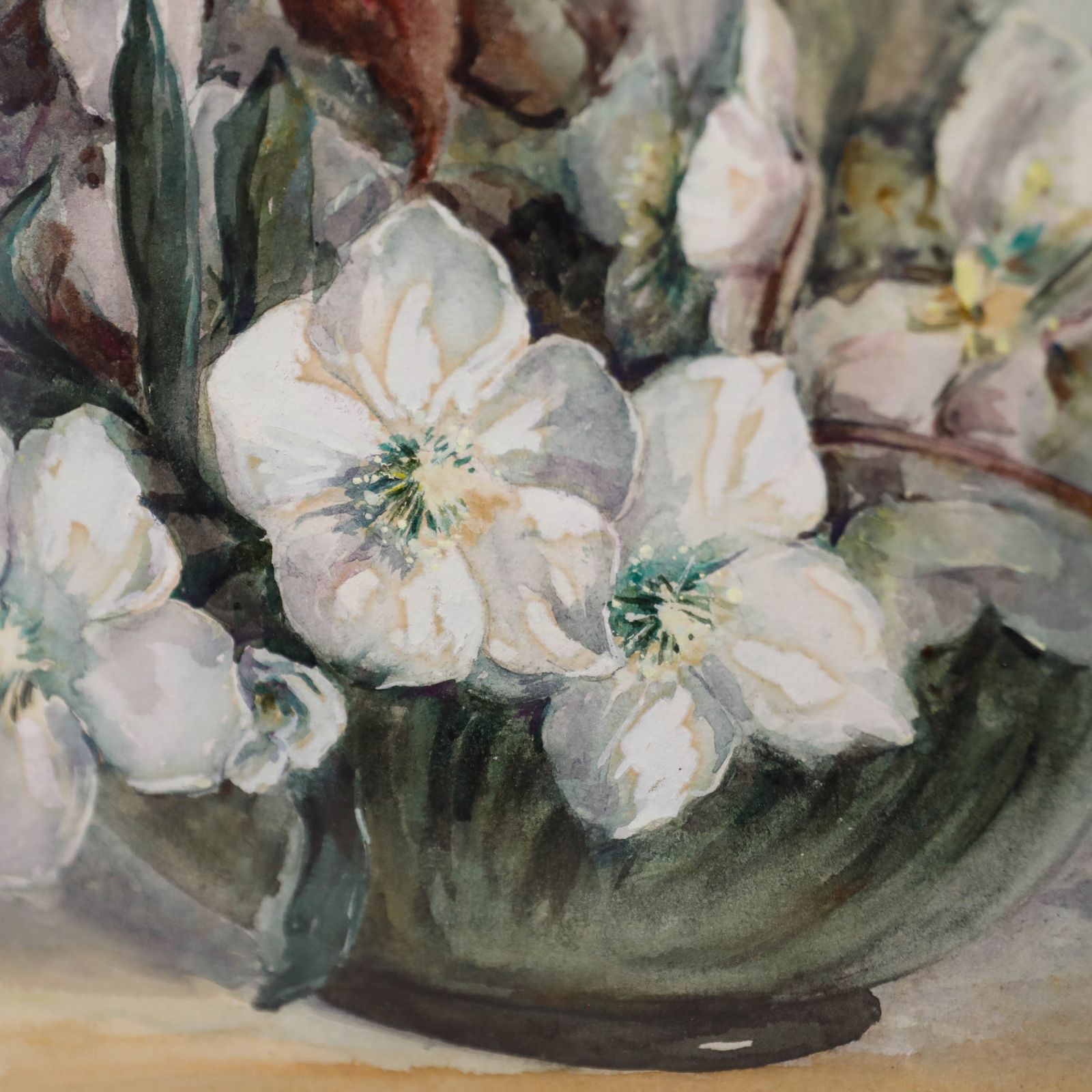 Mary Ellen Haward Early 20th Century Watercolour, Still Life With Hellebores photo Art