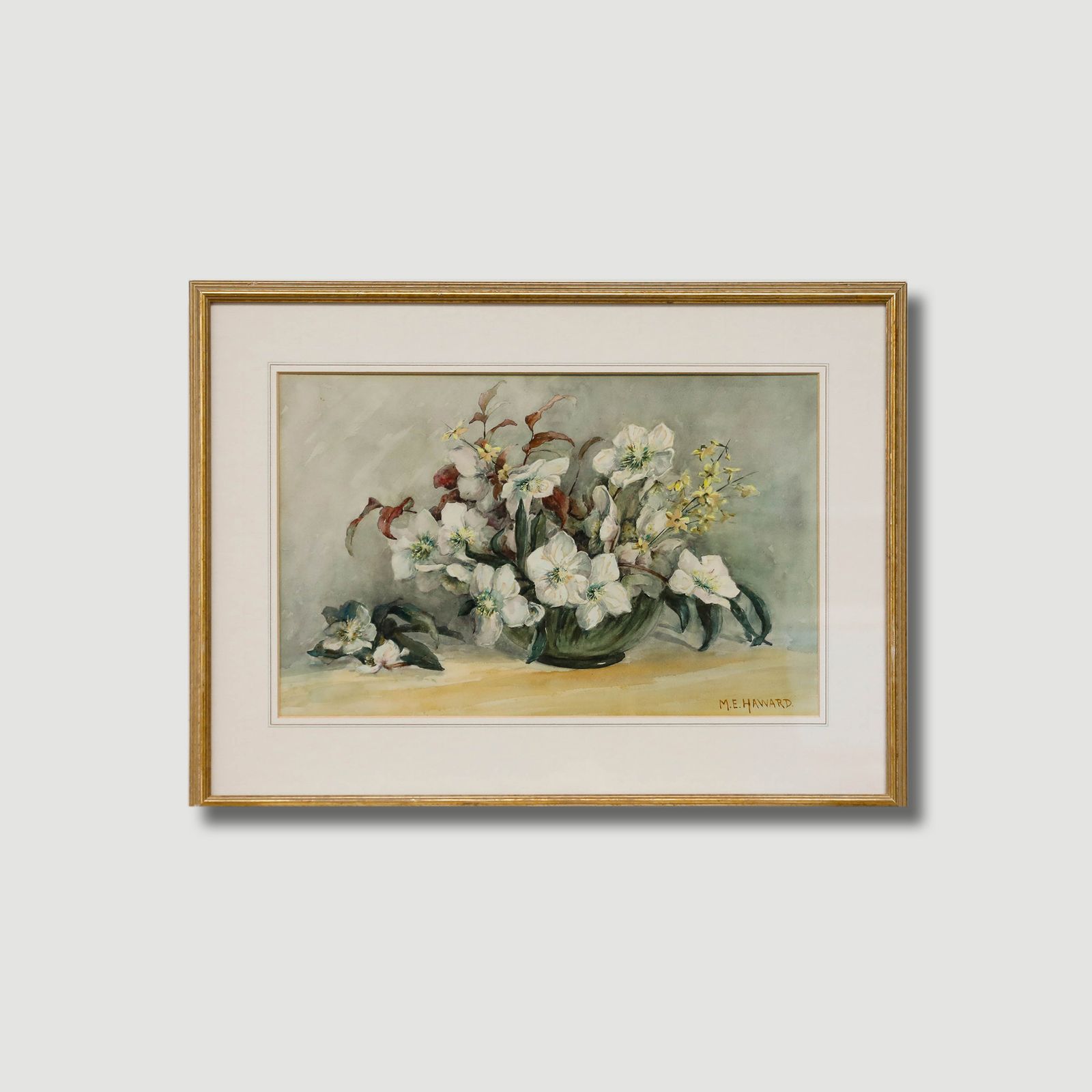 Mary Ellen Haward Early 20th Century Watercolour, Still Life With Hellebores photo buy
