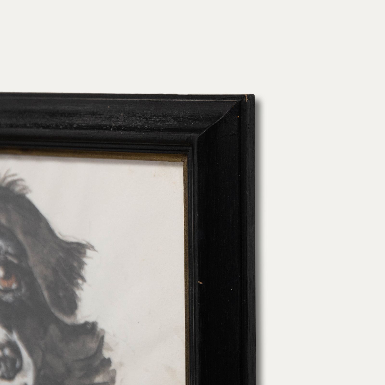 M.A.W Framed 20th Century Watercolour, Quiller The Border Collie photo 84.0