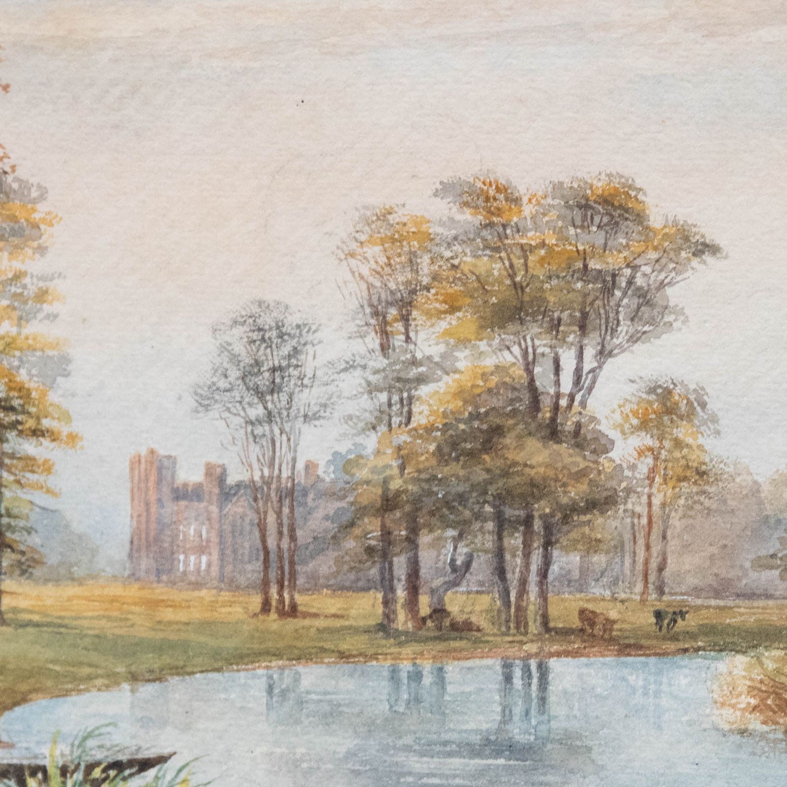 Framed Late 19th Century Watercolour Parkland Landscape With Cattle photo Art