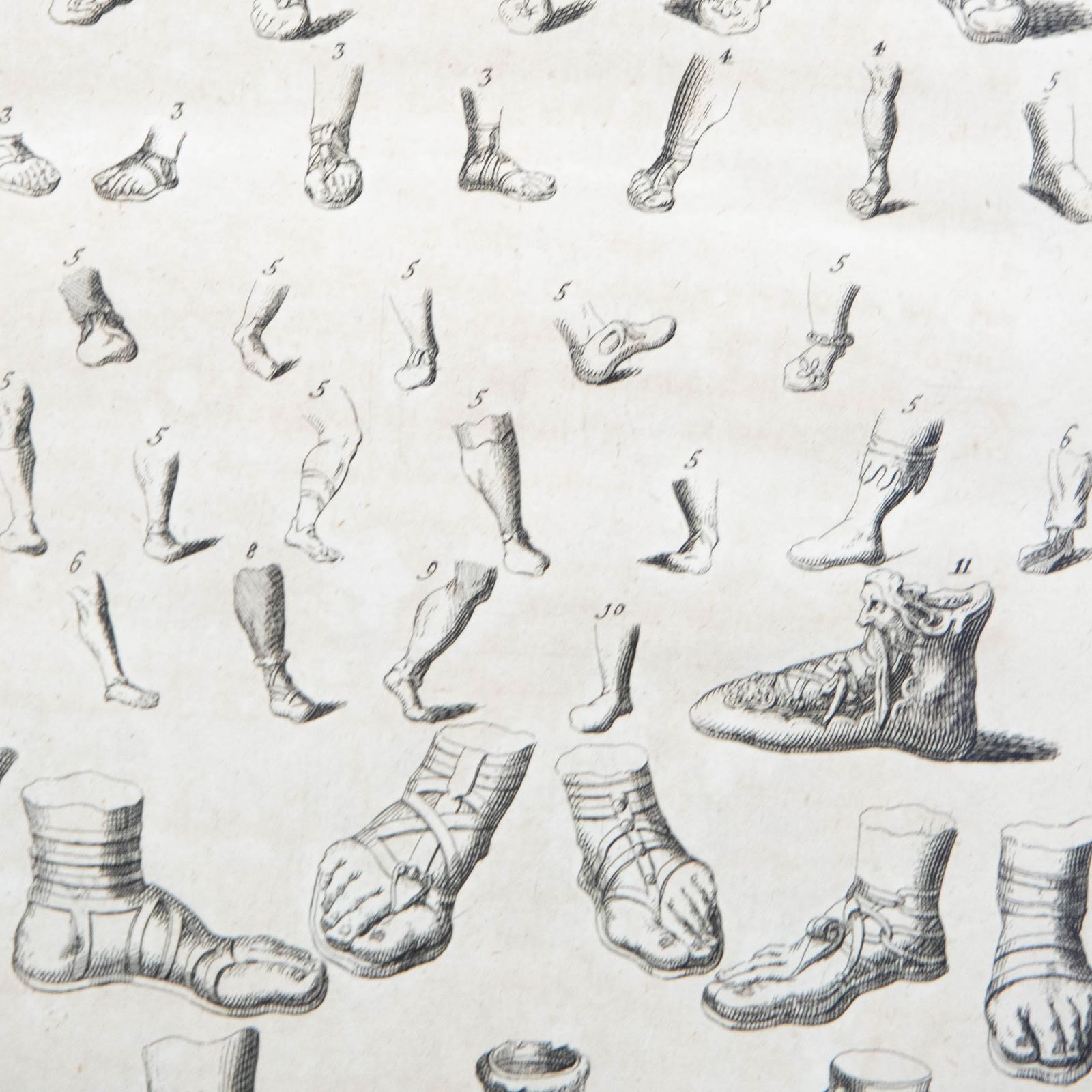 Early 19th Century Etching Grecian And Roman Footwear photo Art