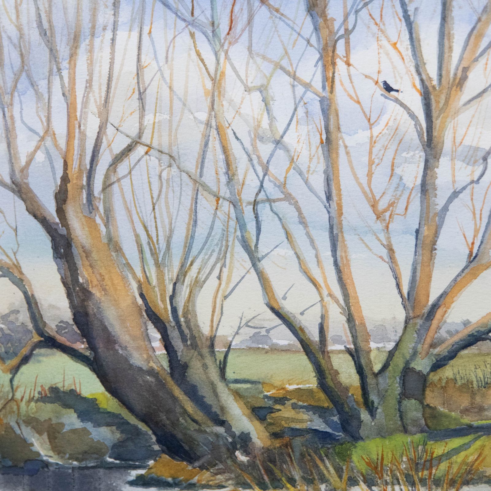 L. S. Frost Framed Contemporary Watercolour, Willows By The Water photo Art