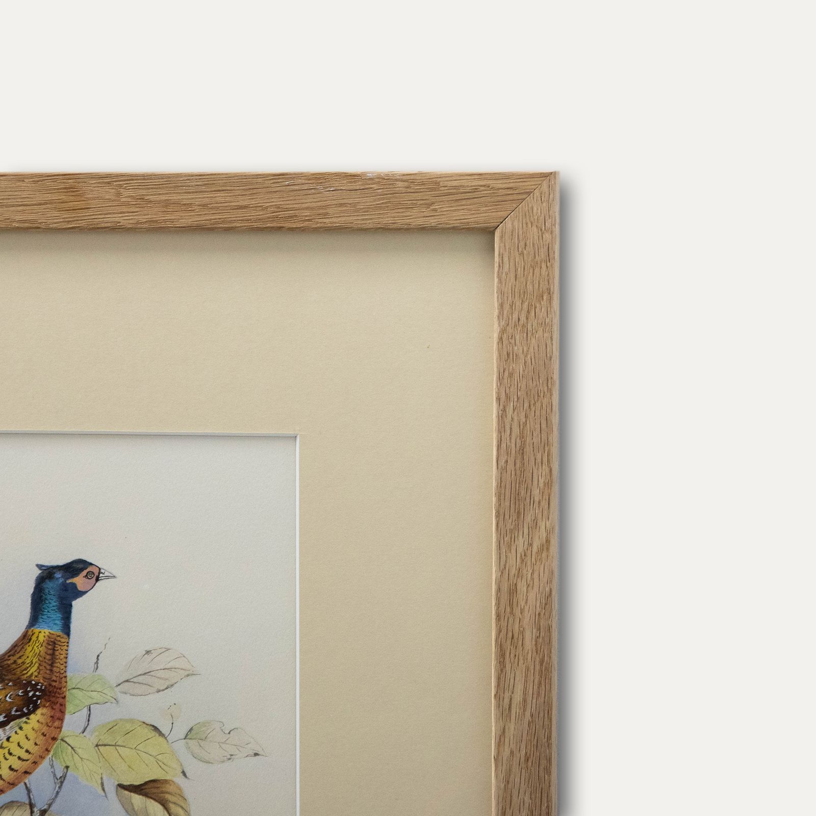 Bryan Cox Framed 20th Century Watercolour, Pheasants Roosting In A Tree photo 143.0