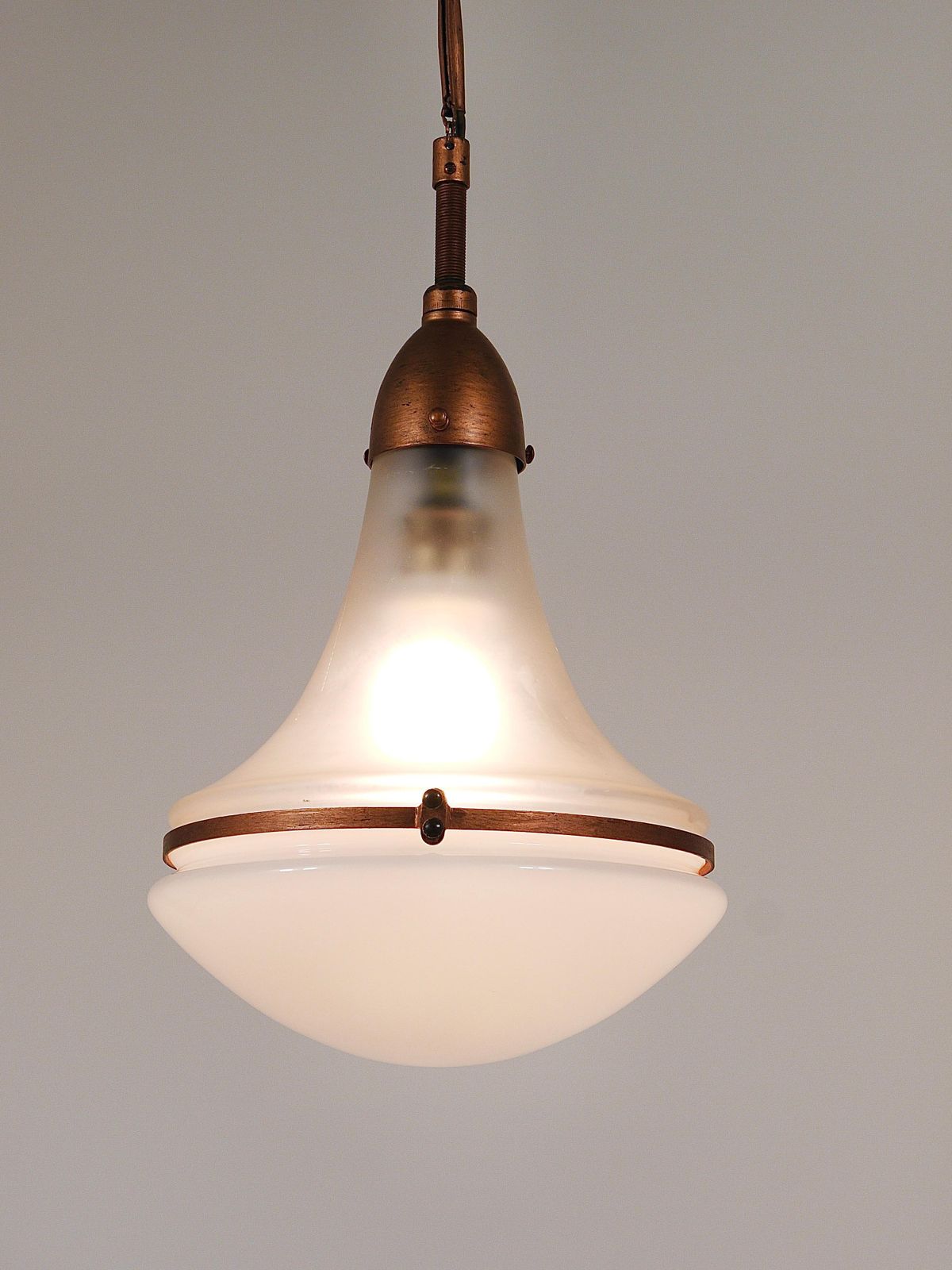 1532.0 Peter Behrens Luzette Industrial Pendant Lamp, Siemens Schuckert, Germany, 1910 photo