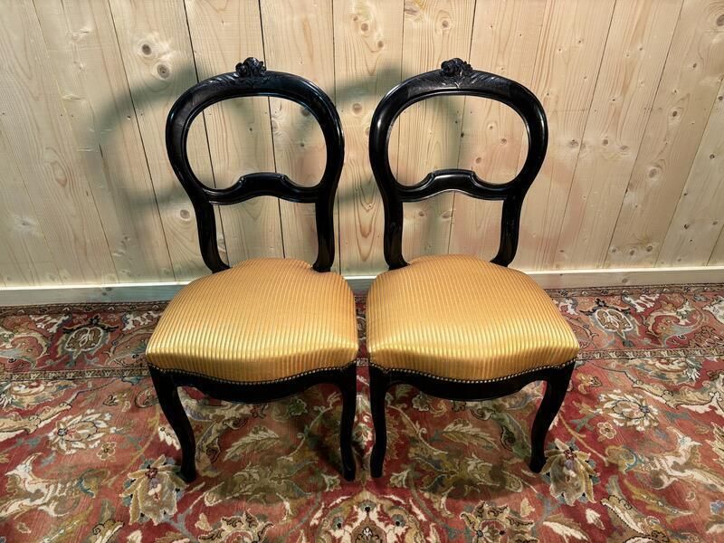 Paire De Chaises Napoléon III, 1800s photo furniture