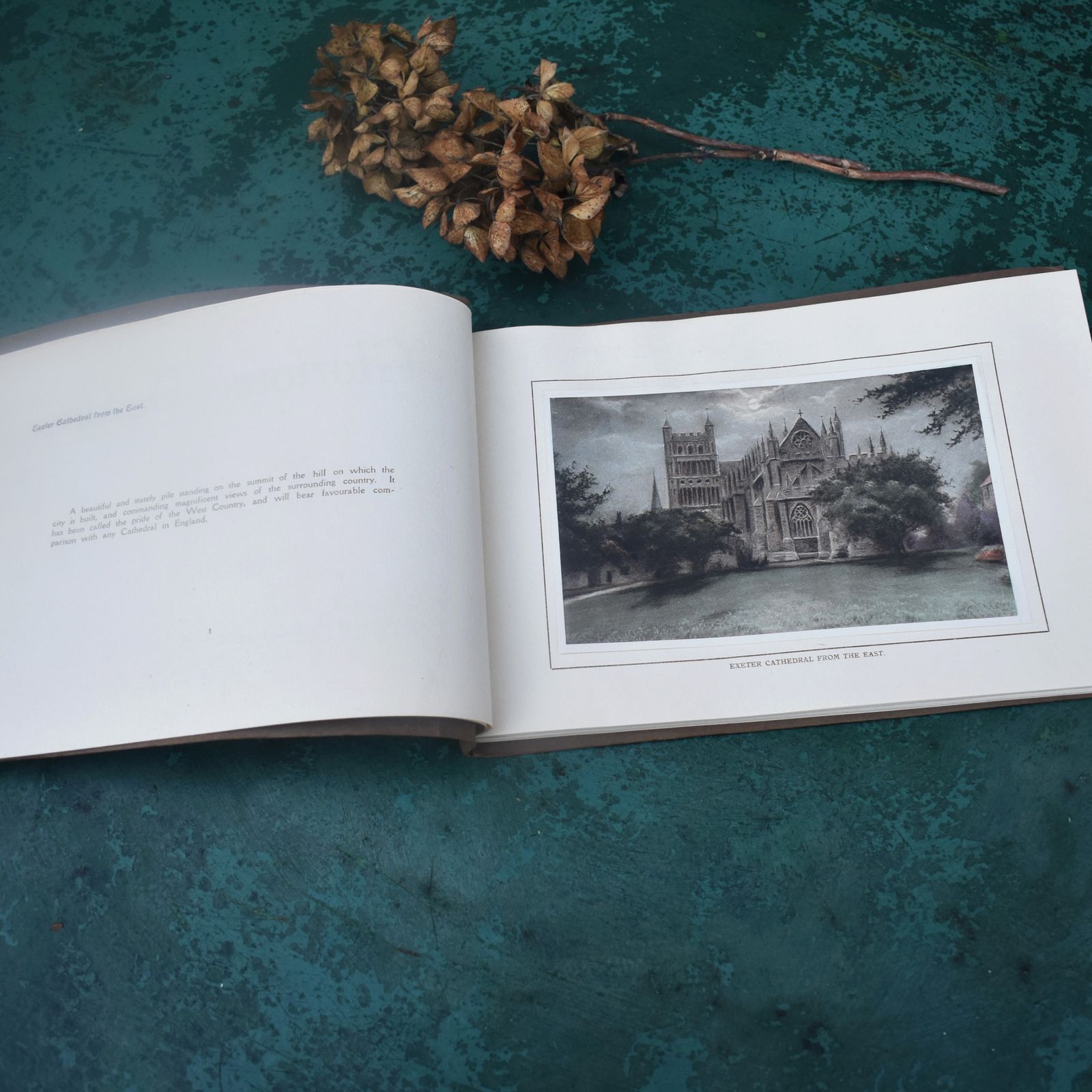 Antique 1910 Glorious Devon Harvey Barton & Sons 18 Hand Coloured Fine Prints photo 55.0