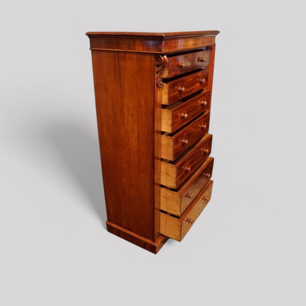 Victorian Mahogany Wellington Chest photo for sale