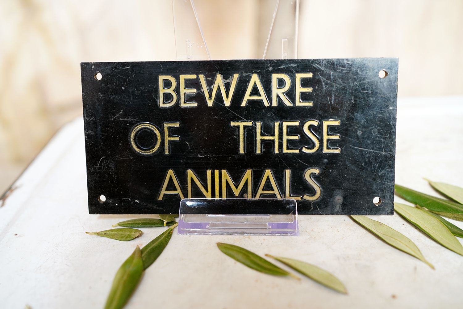 Bristol Zoological Gardens: A Group Of Twenty Six Mid 20thc Enclosure Plaques C.1940 60 photo for sale