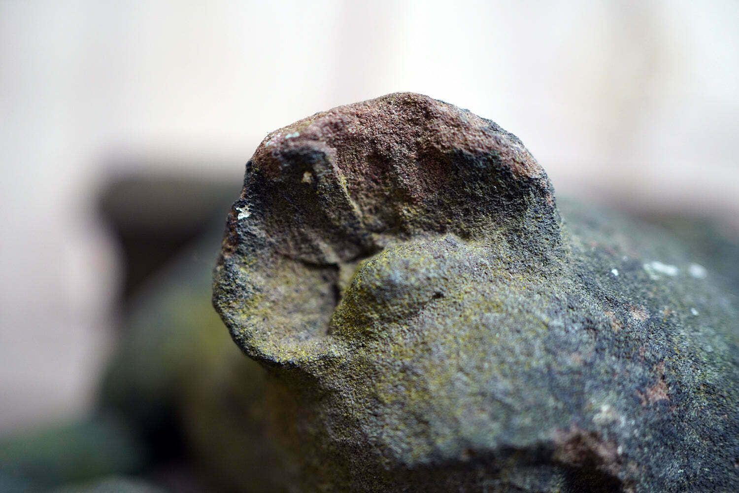 A Rare Medieval Period Carved Stone Grotesque Holding A Coconut C.1300 1400 photo 2600.0