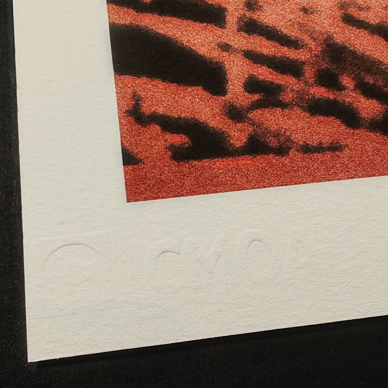 1980s Andy Warhol "Butterfly" Limited Edition Lithograph By Cmoa. photo 390.0