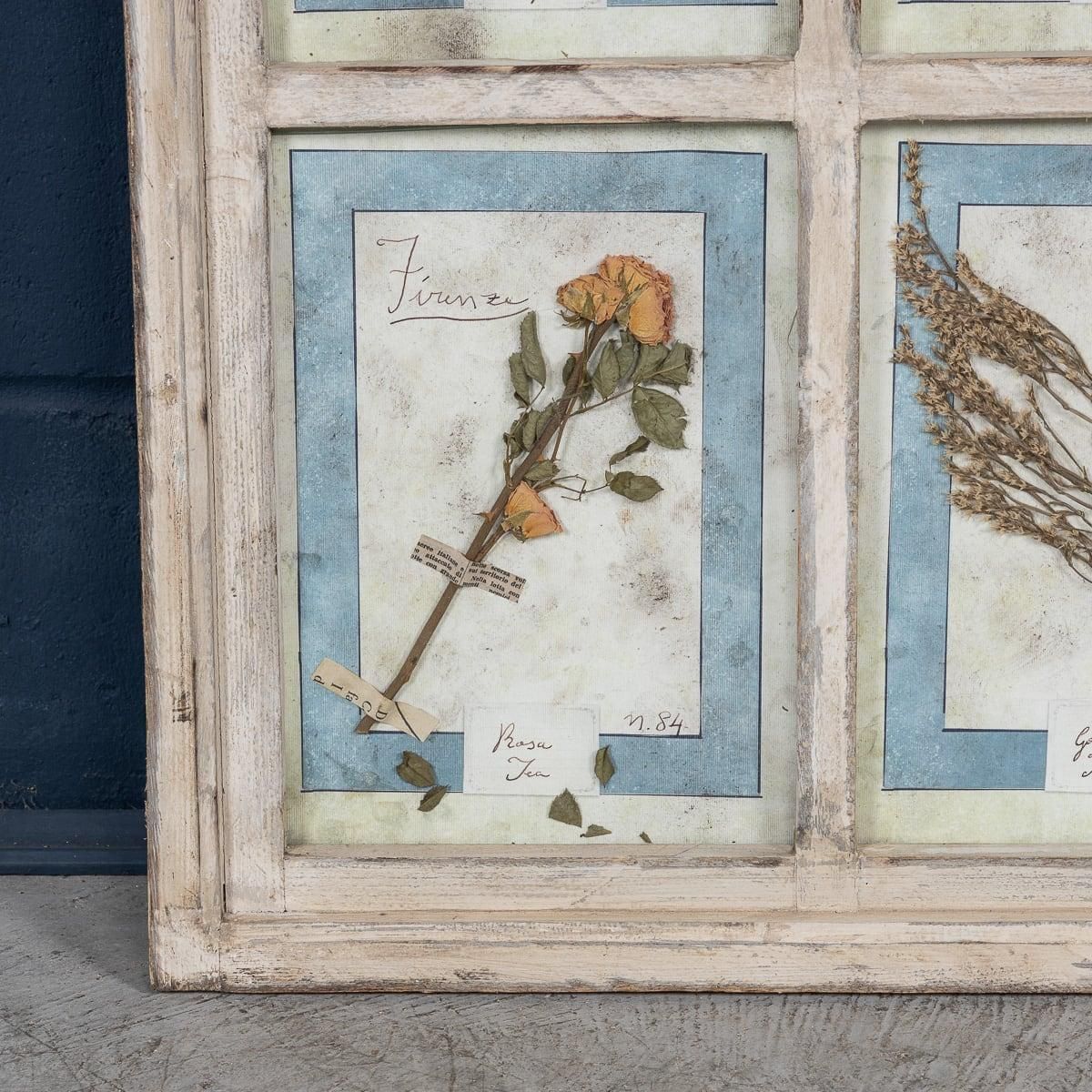 photo for sale 20th Century Italian Large Oak Frame Containing Pressed Flowers & Herbs